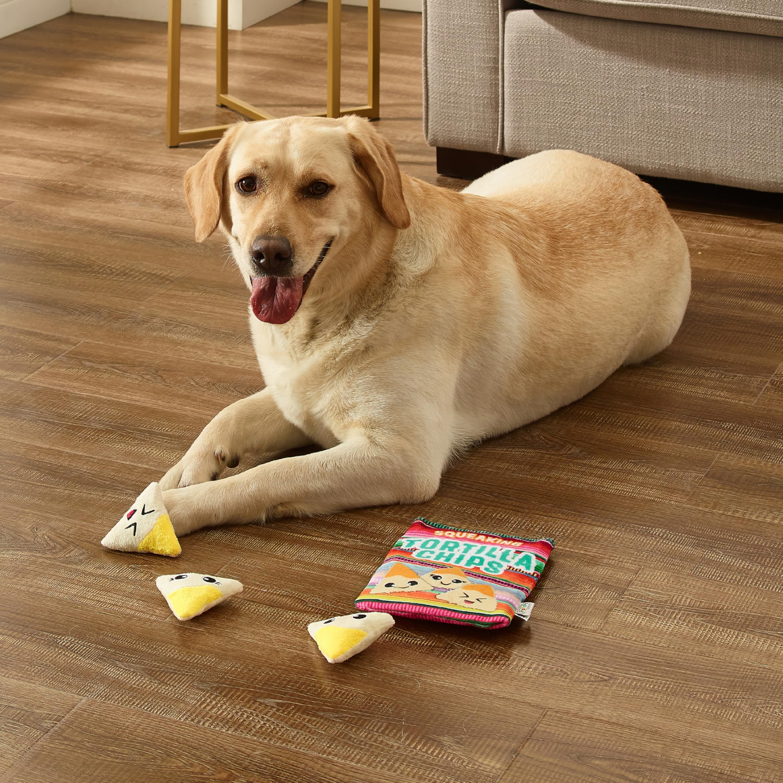 Outward Hound Seguridad y Cuidado: supervisión y tamaño adecuado para tu perro.