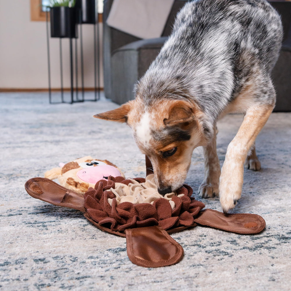 Outward Hound Snuffle Palz: sonidos de chirrido que mantienen al perro interesado