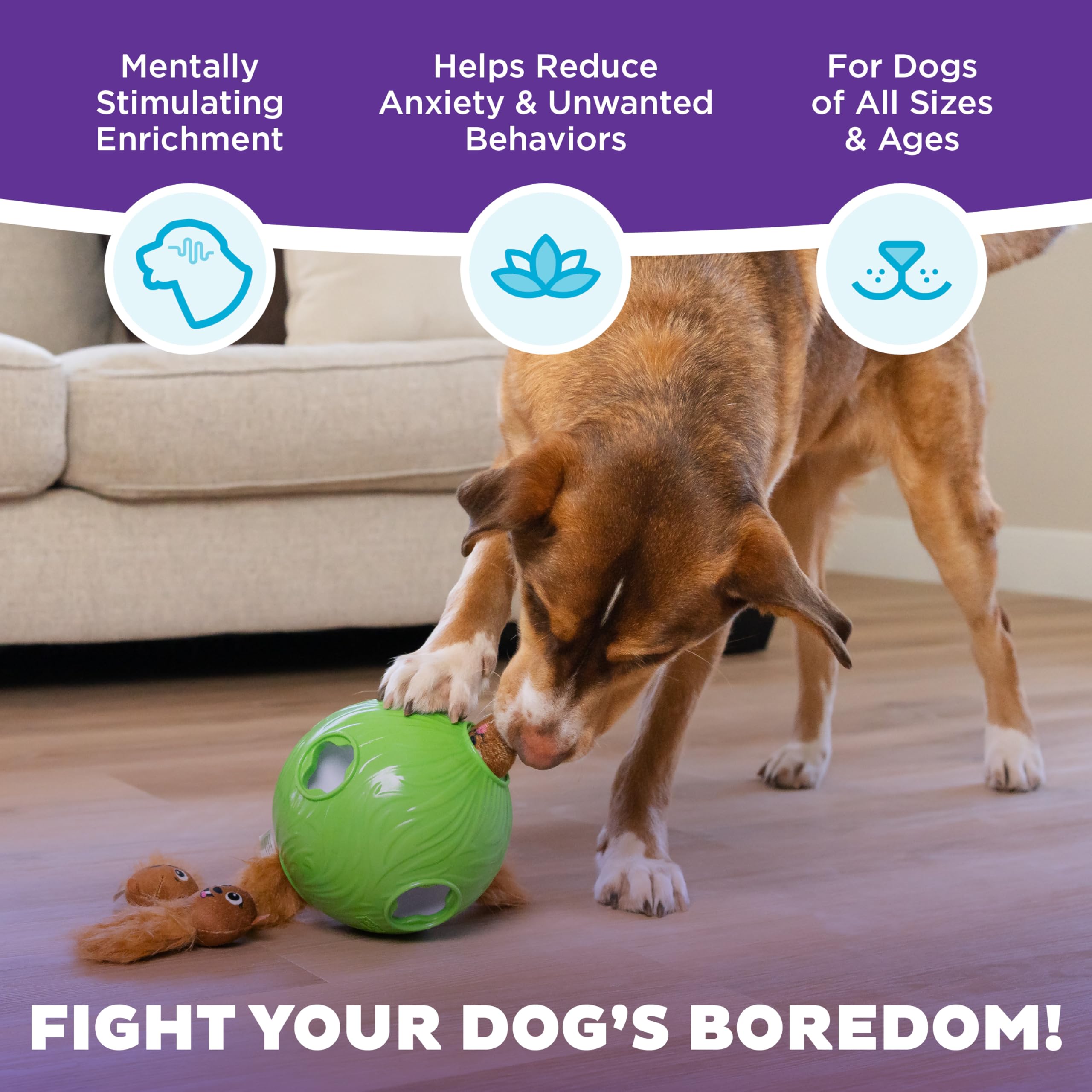 Outward Hound Snuffle N' Treat Ball liberacion premios ocultos para perros curiosos