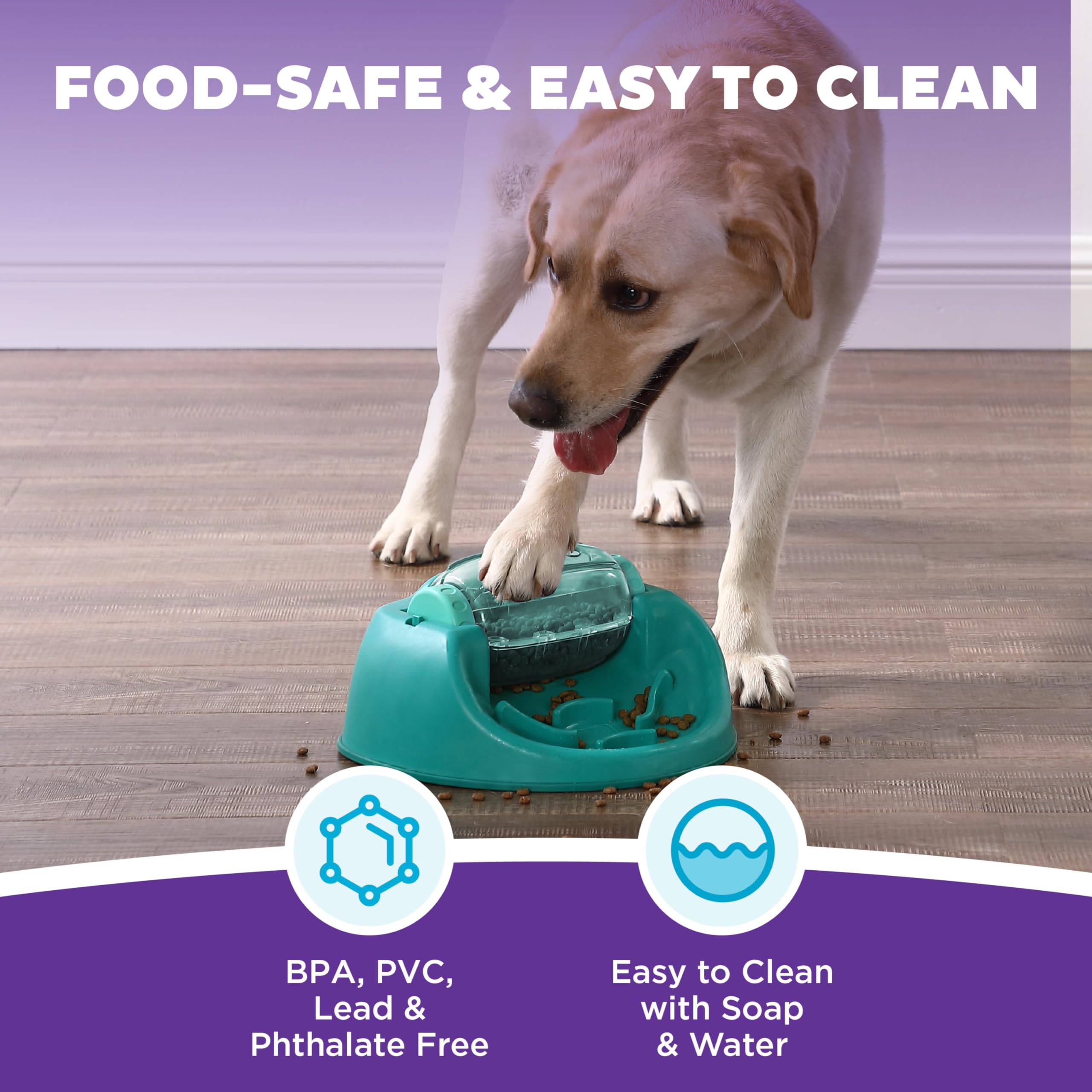 Spin N' Eat: laberinto estimula la mente de perros activos.