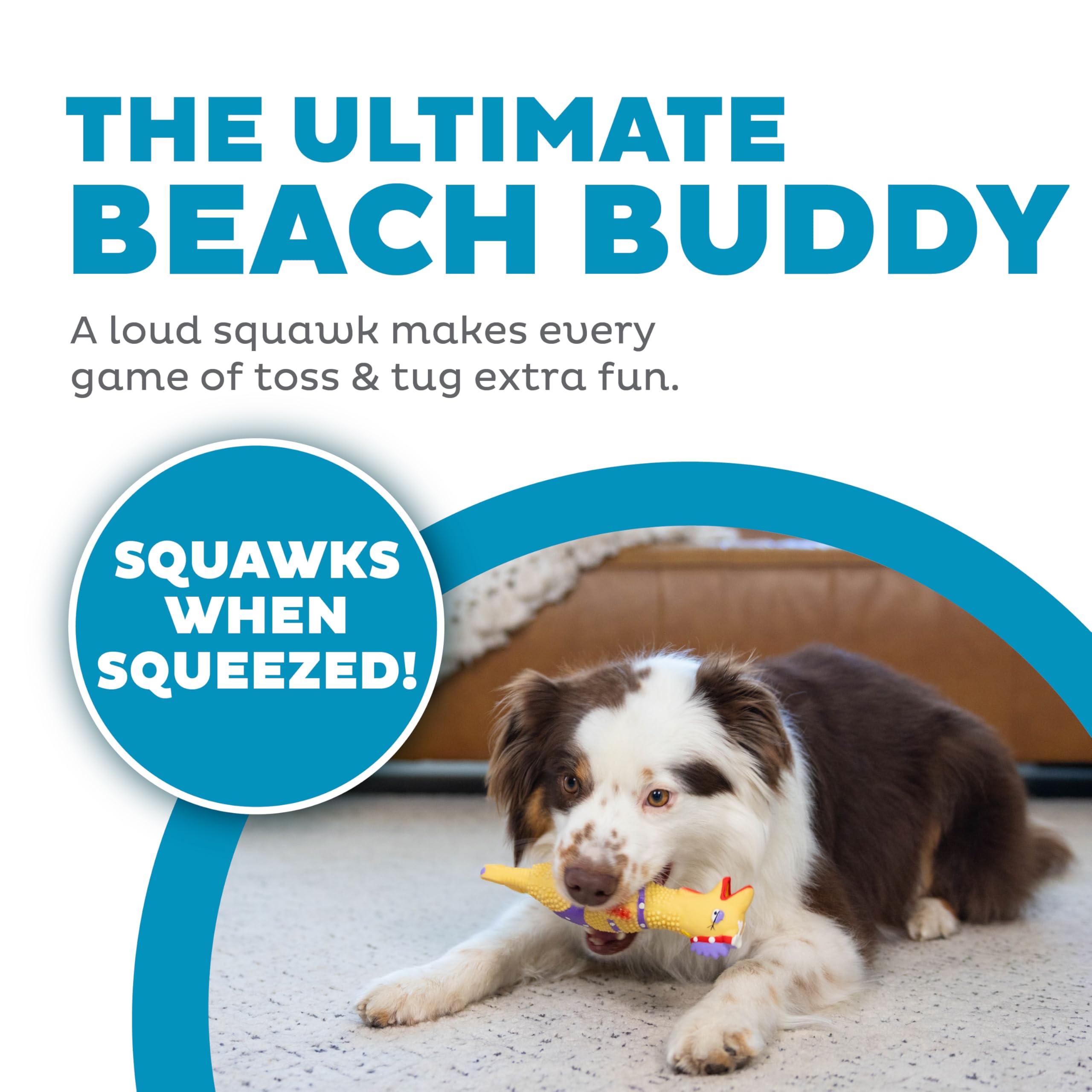 Outward Hound Squawkers Henrietta: diseño playa, ligero y fácil de agarrar para perros.