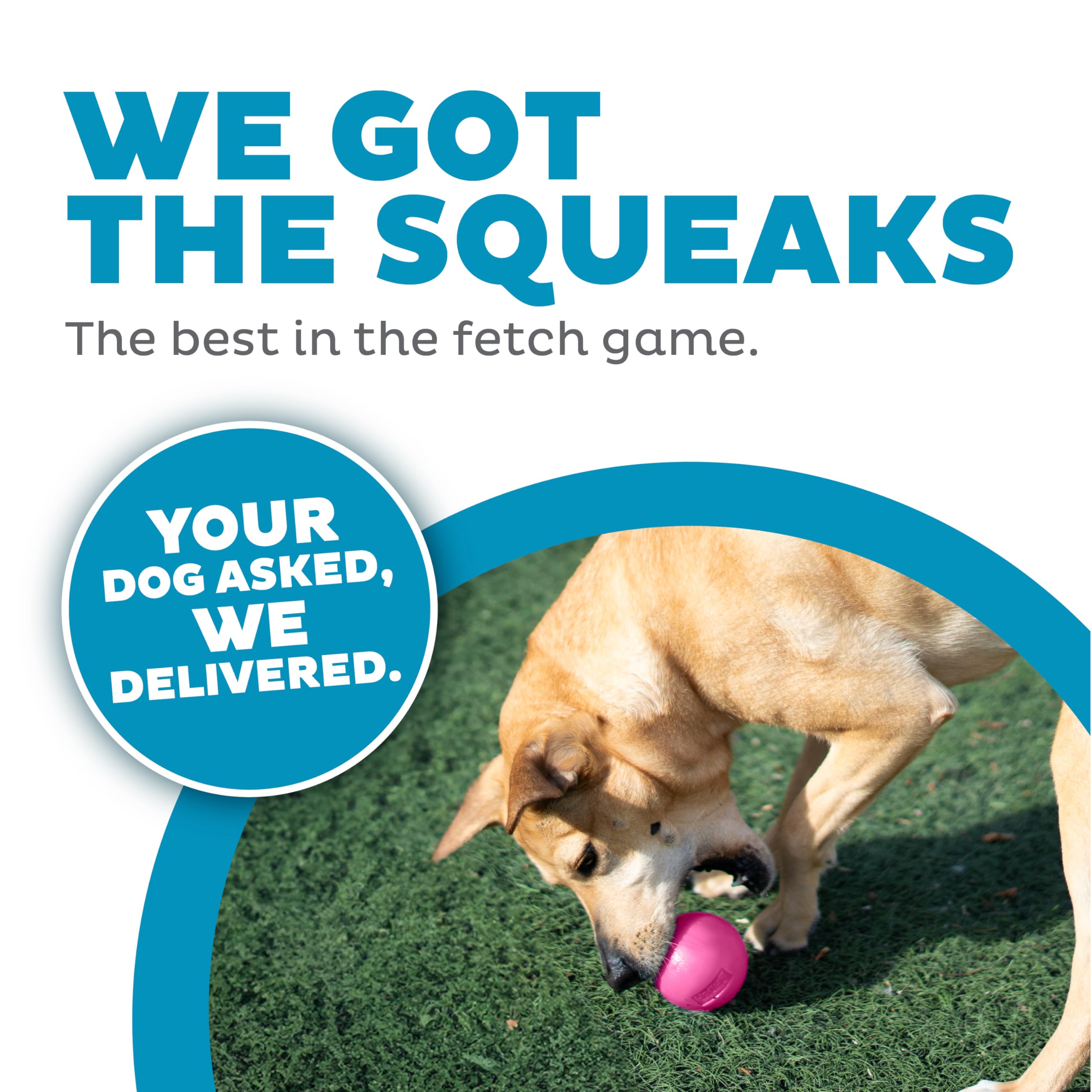 Outward Hound Squeak Ball – Flotante en agua para diversión interior y exterior.