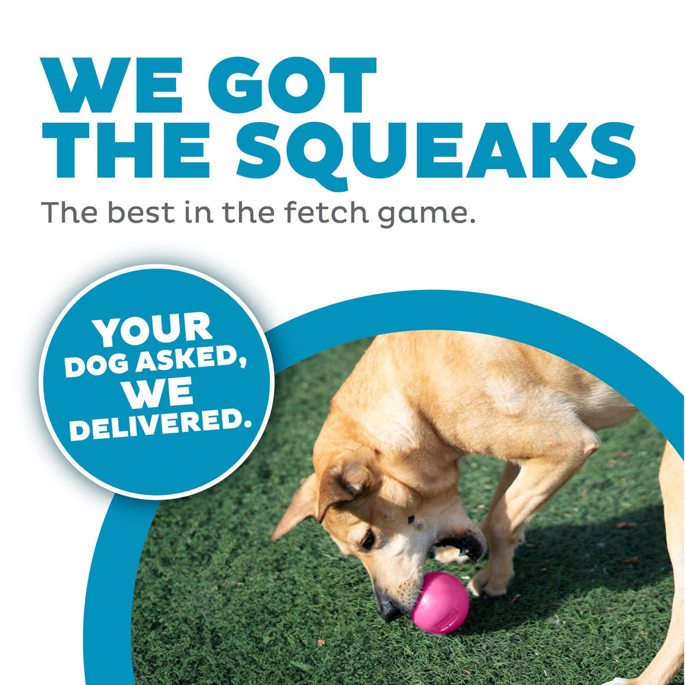 Outward Hound Squeak Ball – Flotante en agua para diversión interior y exterior.