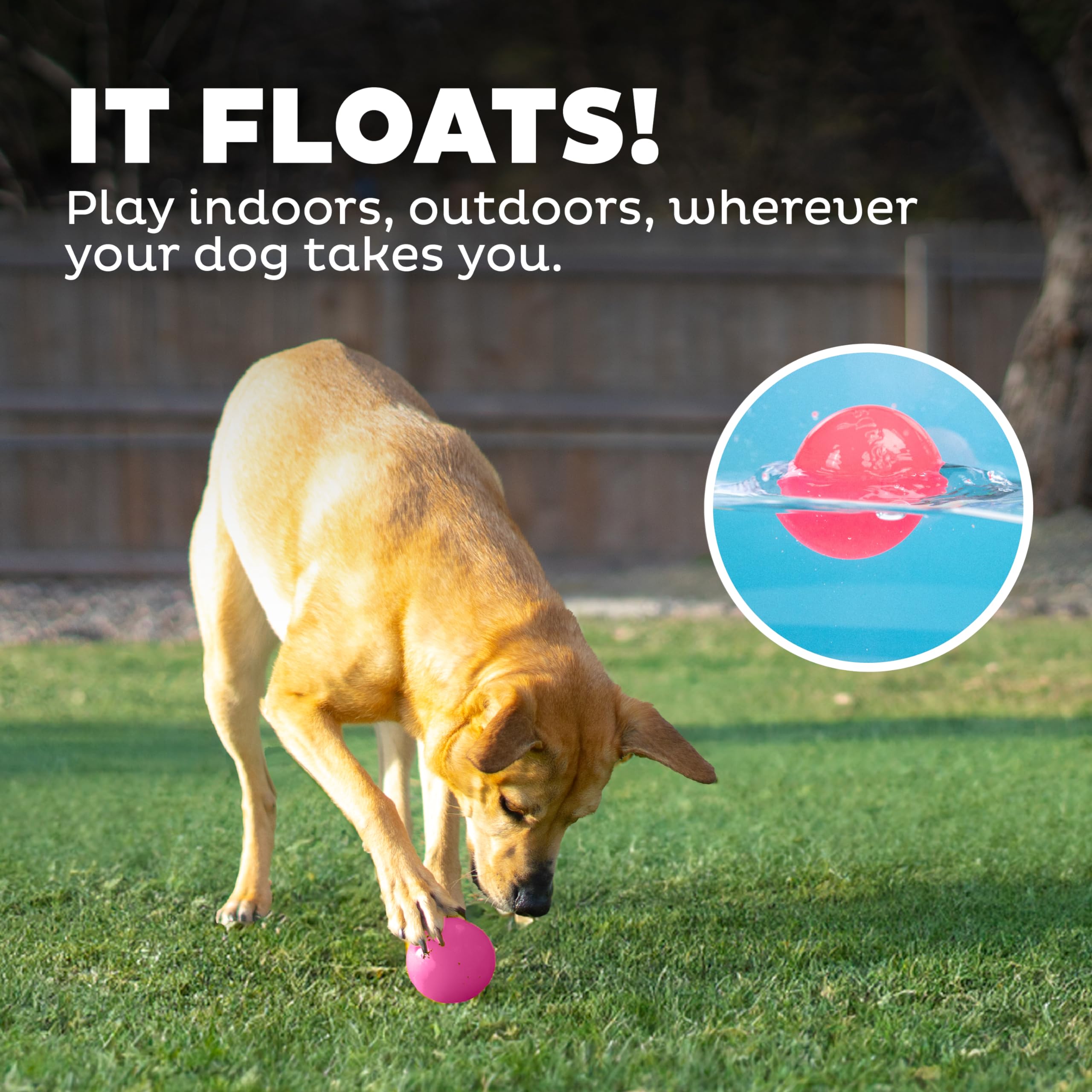 Outward Hound Squeak Ball – Ideal para juegos en interiores y exteriores.