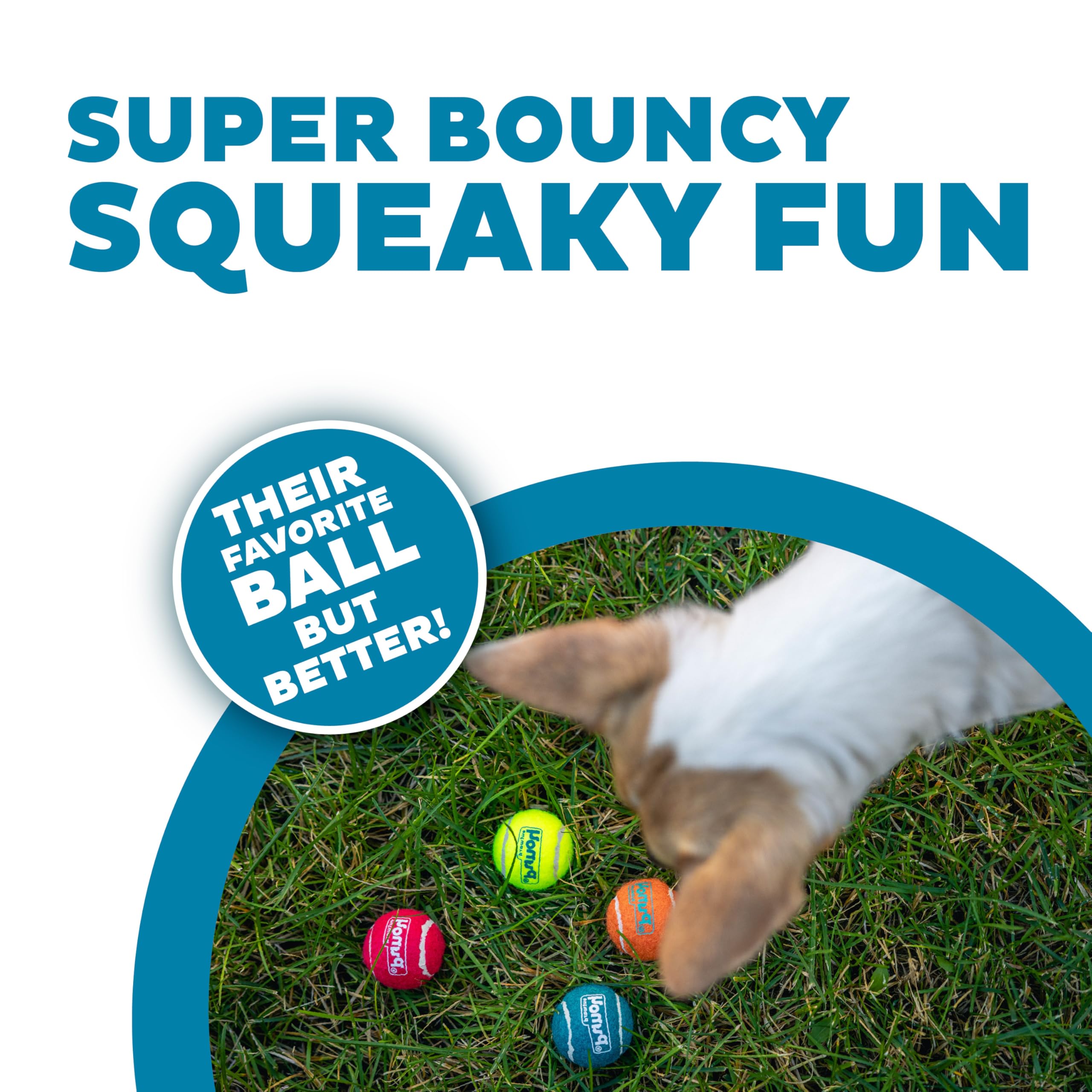 Outward Hound Squeaker Ballz, durabilidad de caucho premium para juego prolongado