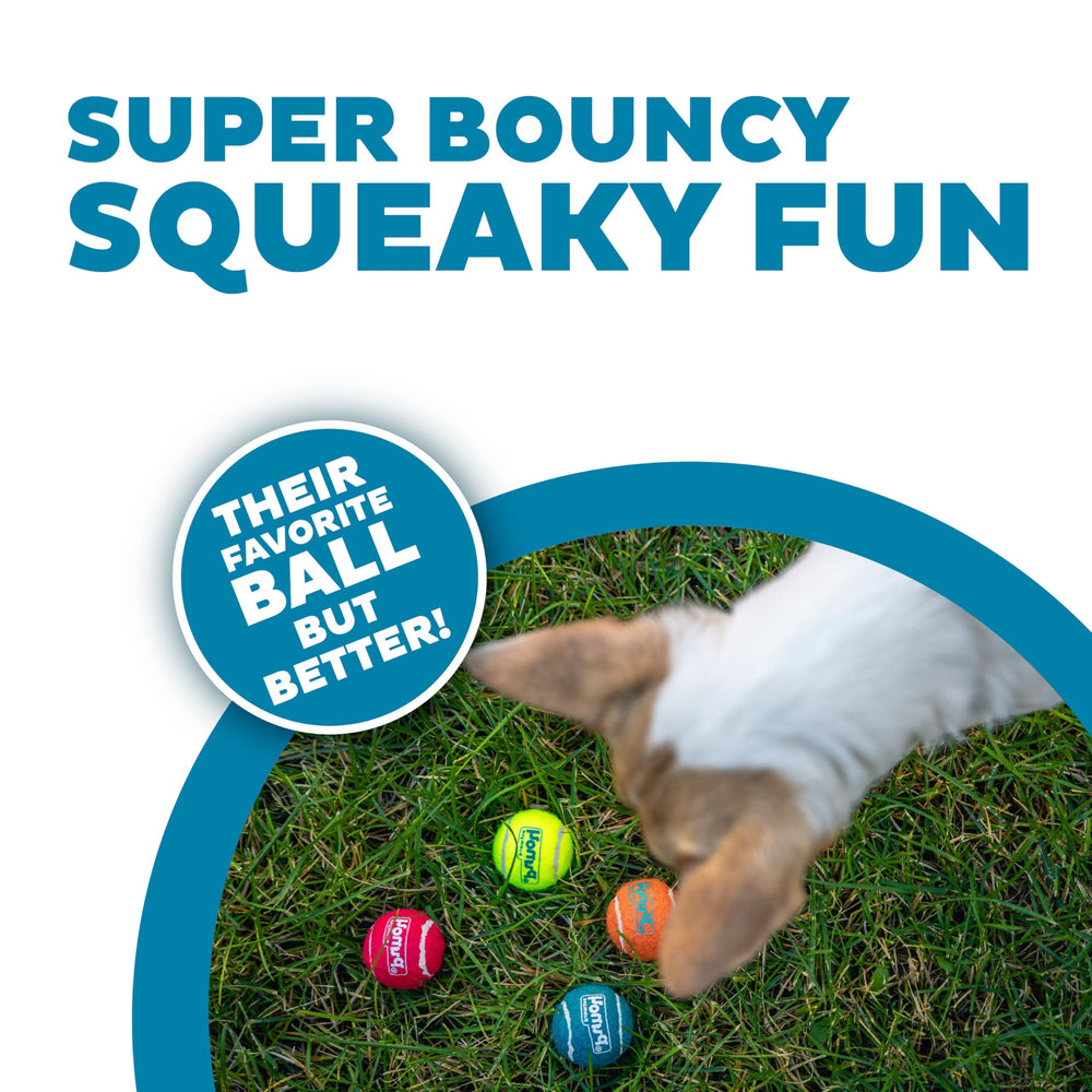 Outward Hound Squeaker Ballz, durabilidad de caucho premium para juego prolongado