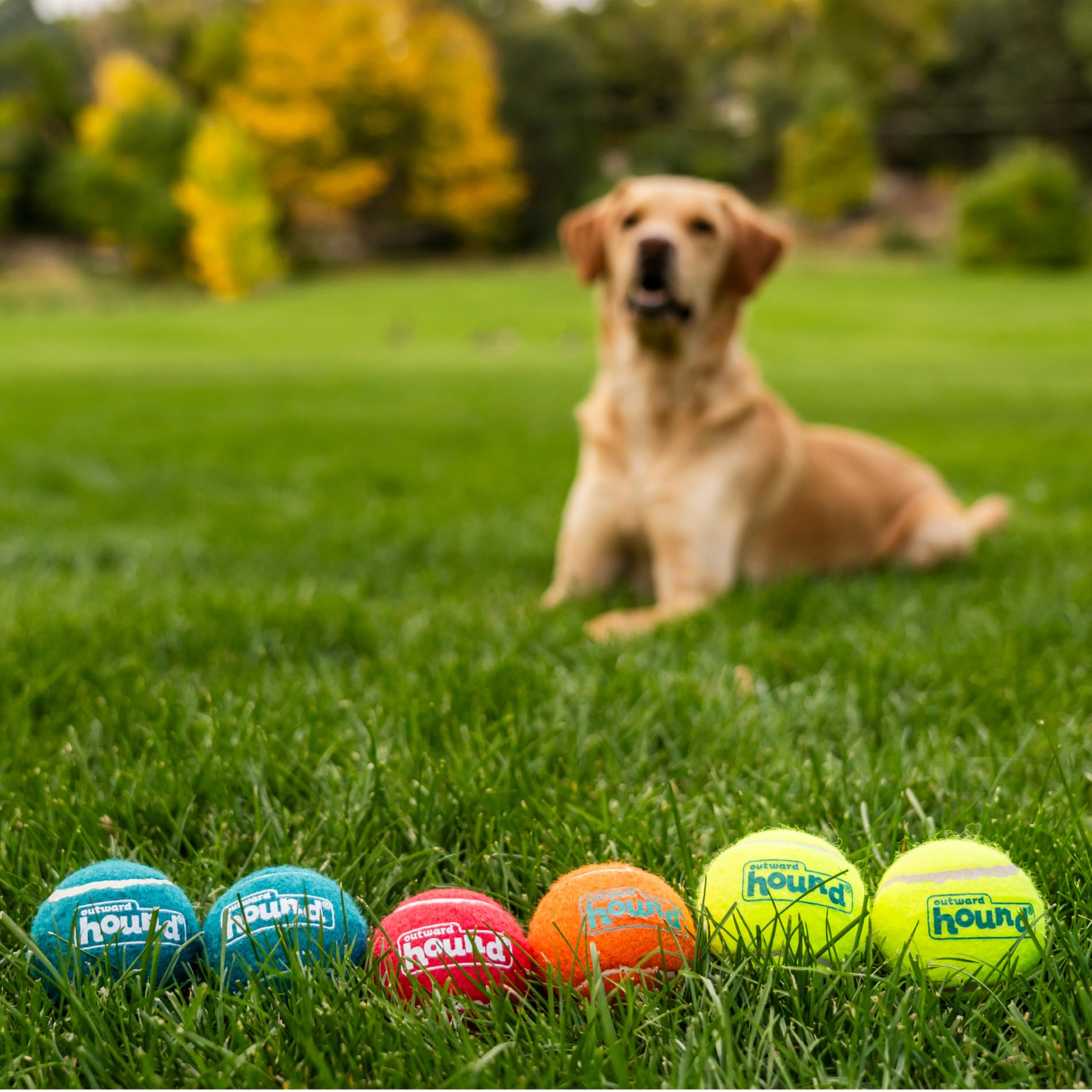 Outward Hound Squeaker Ballz: durabilidad de goma premium para juegos prolongados