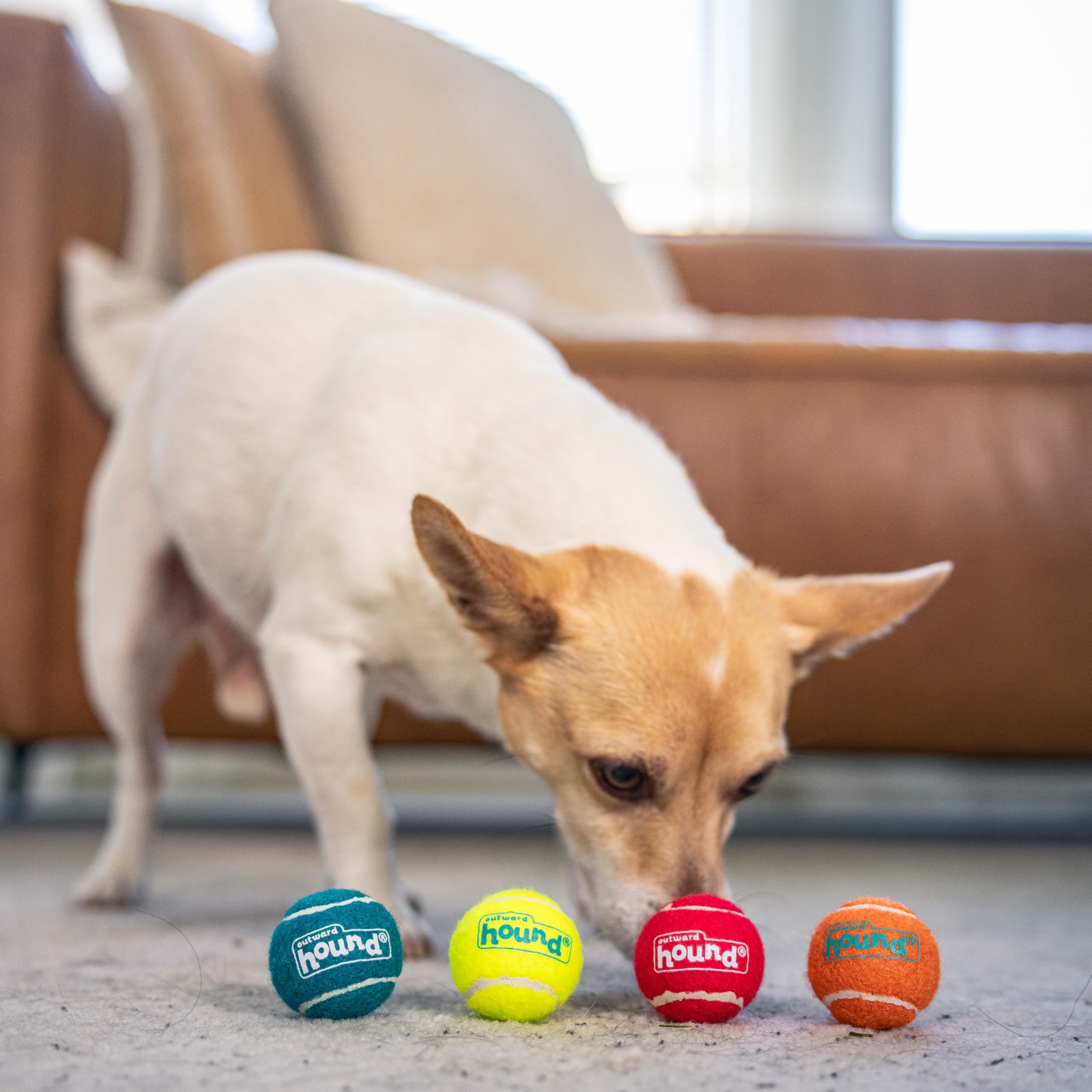 Outward Hound Squeaker Ballz, ideal para entrenamiento de obediencia y juegos interactivos