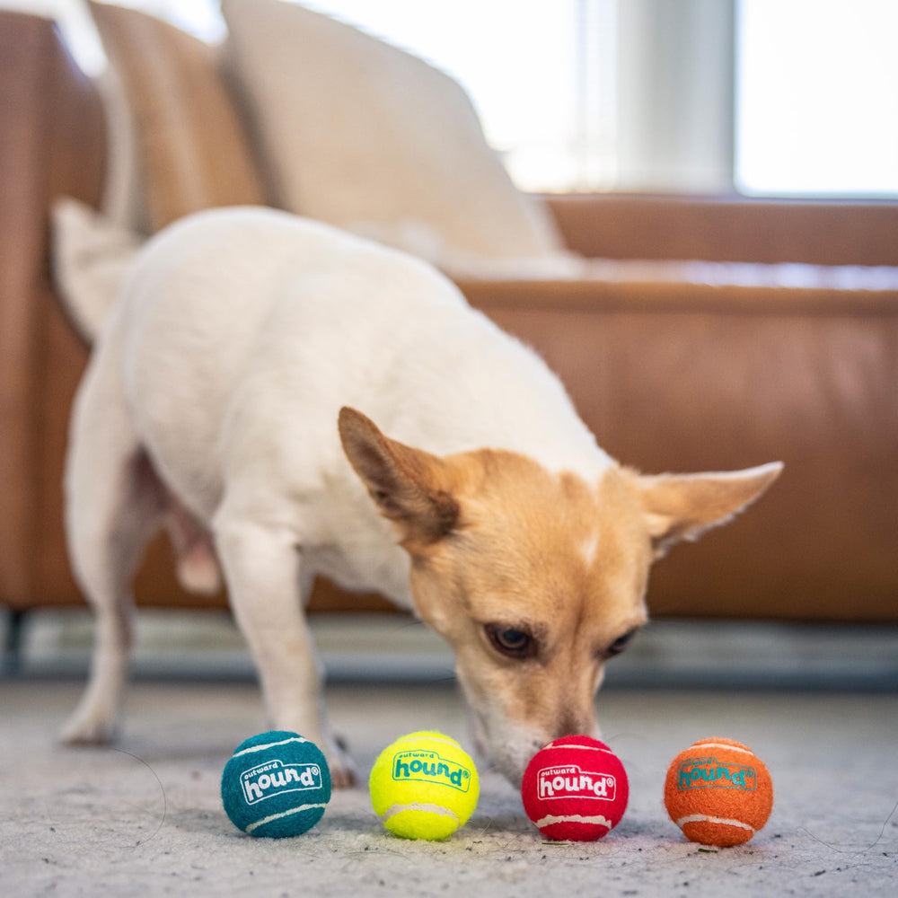 Outward Hound Squeaker Ballz, ideal para entrenamiento de obediencia y juegos interactivos