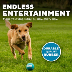 Outward Hound Squeaker Ballz: juguete interactivo para entrenamiento y diversión en casa o al aire libre