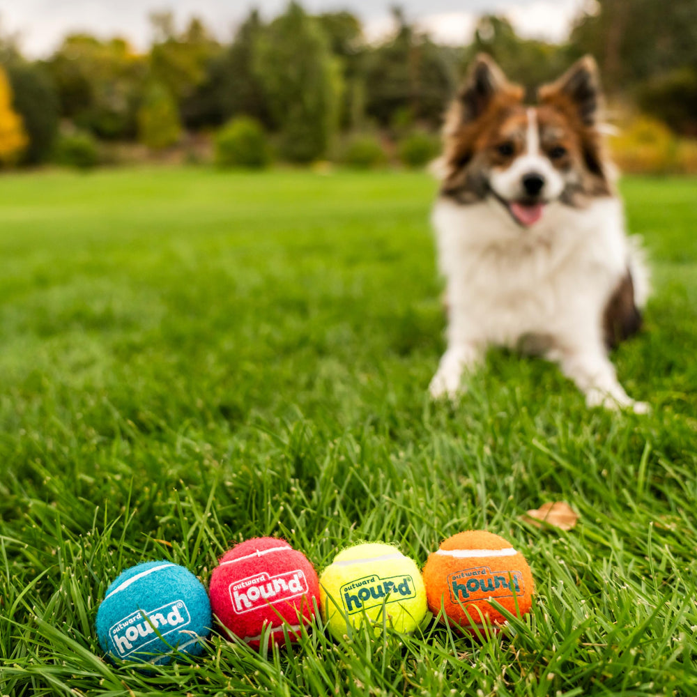 Outward Hound Squeaker Ballz: ideal para buscar, entrenar y fortalecer el vínculo perro–dueño.