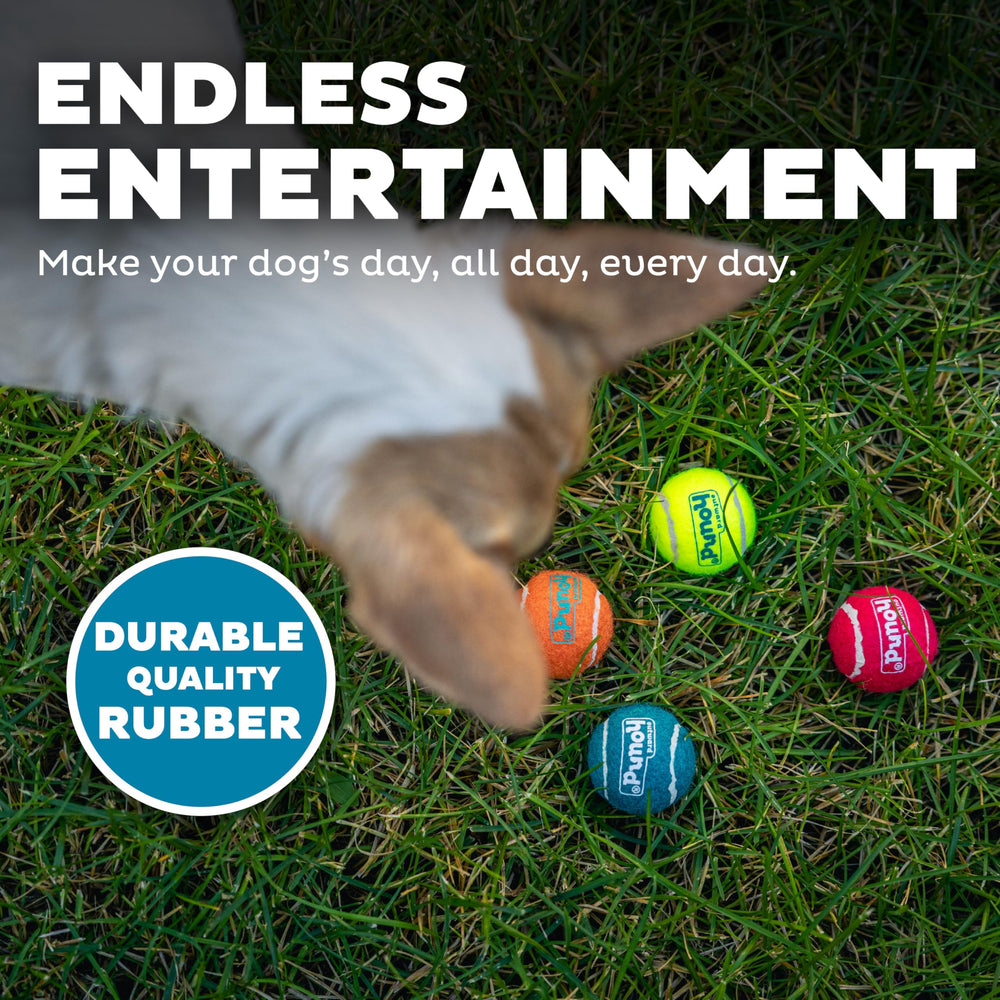 Outward Hound Squeaker Ballz: ideal para entrenamiento y refuerzo de obediencia en perros.