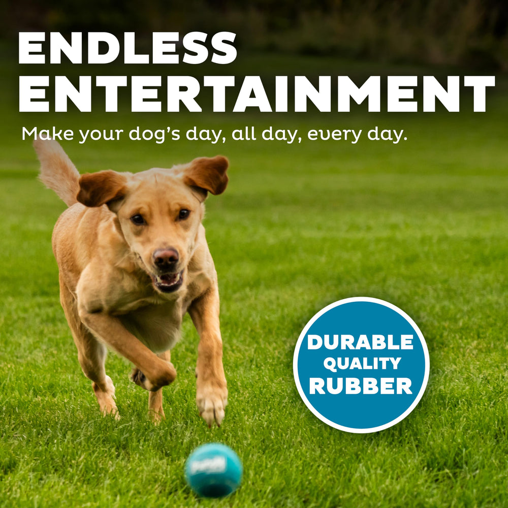 Outward Hound Squeaker Ballz: ideal para entrenamiento y juego de traer, fortalece la interacción.