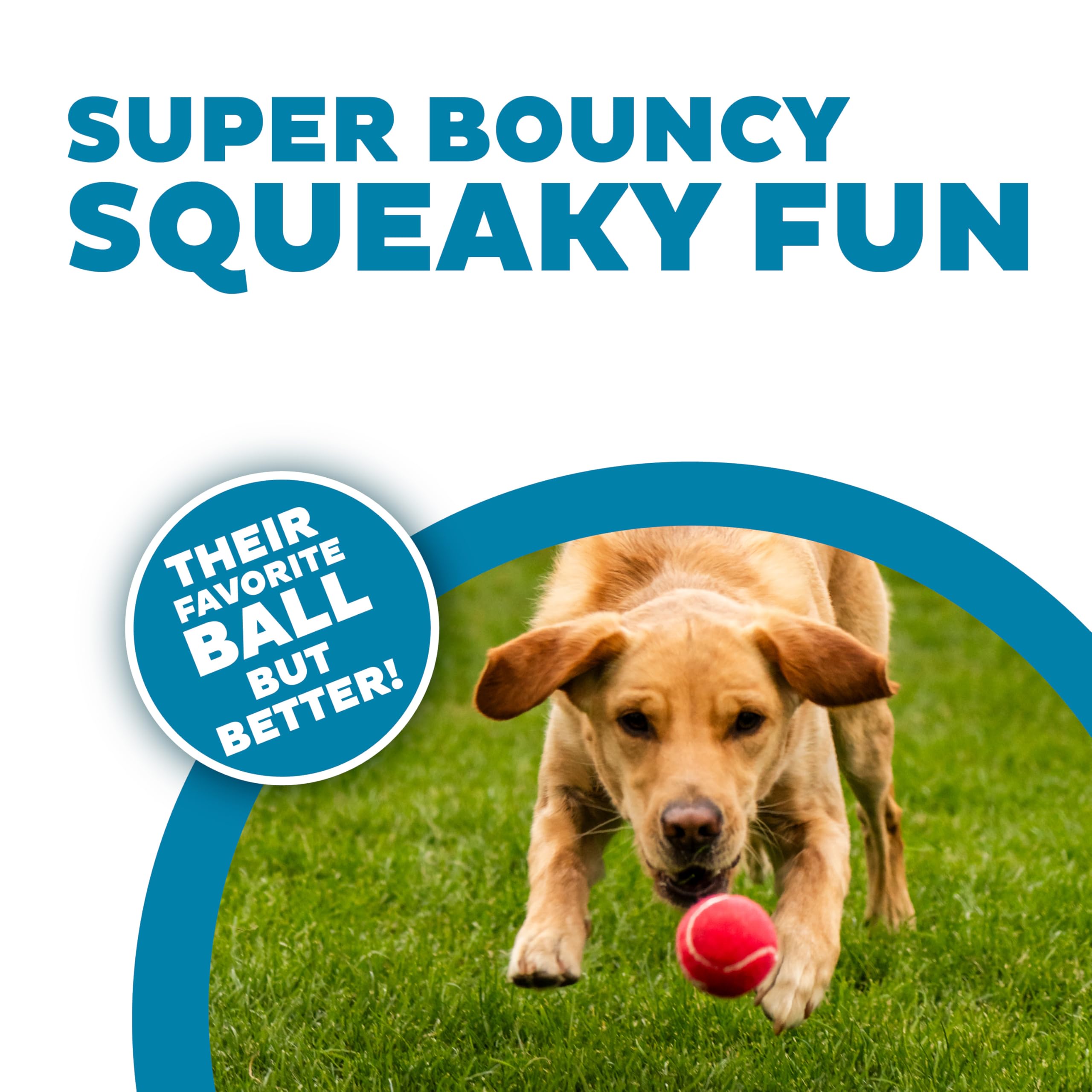 Outward Hound Squeaker Ballz: juguete interactivo para perros, ideal para traer la pelota en casa.