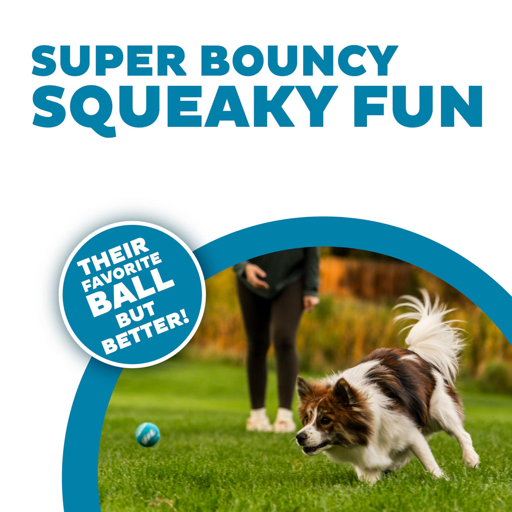 Outward Hound Squeaker Ballz: material duradero para juego prolongado en casa o al aire libre.