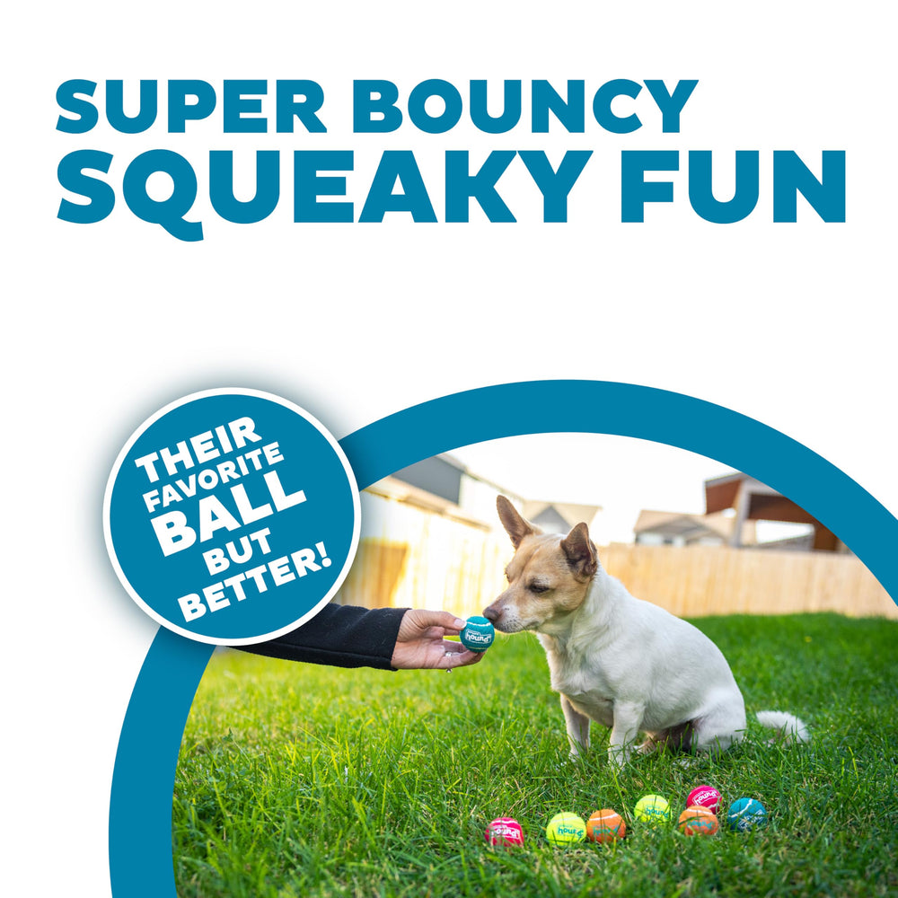 Outward Hound Squeaker Ballz, pelotas brillantes para juego interactivo en interiores.