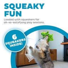 Outward Hound Squeaker Matz caimán juguete interactivo para tirar y perseguir