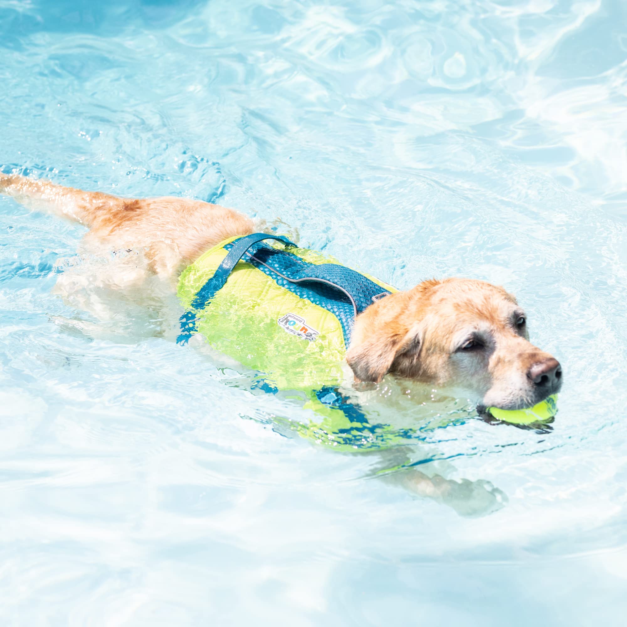 Outward Hound Standley Sport chaleco salvavidas para perro ajuste rápido compatible con diversas tallas