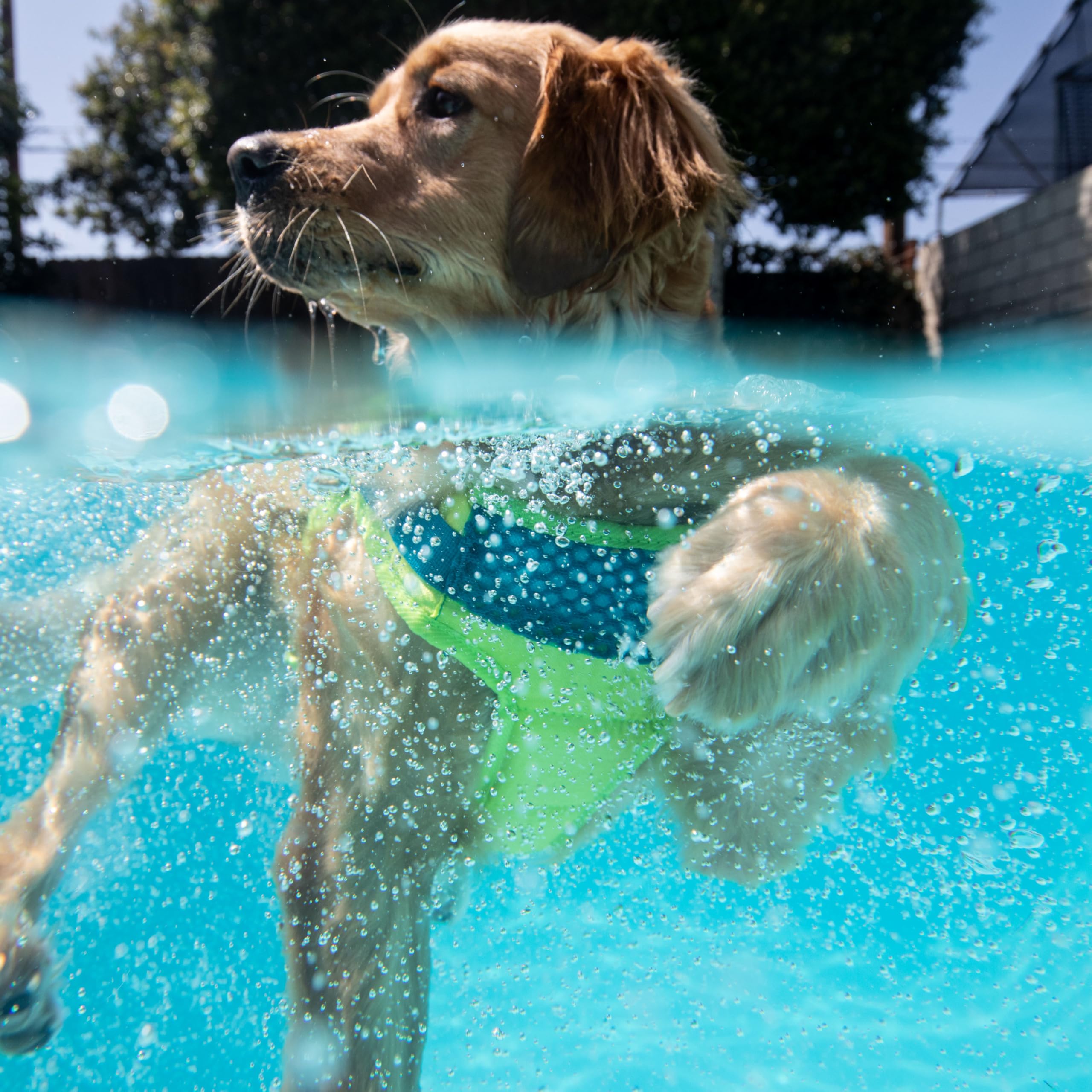 Outward Hound Standley Sport chaleco salvavidas para perro anilla en D añade sujeción