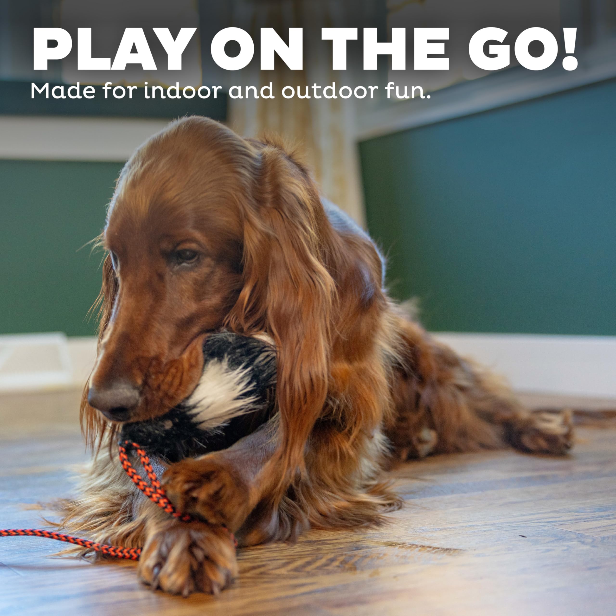 Tail Teaser de Outward Hound cuerda de nylon resistente para uso diario