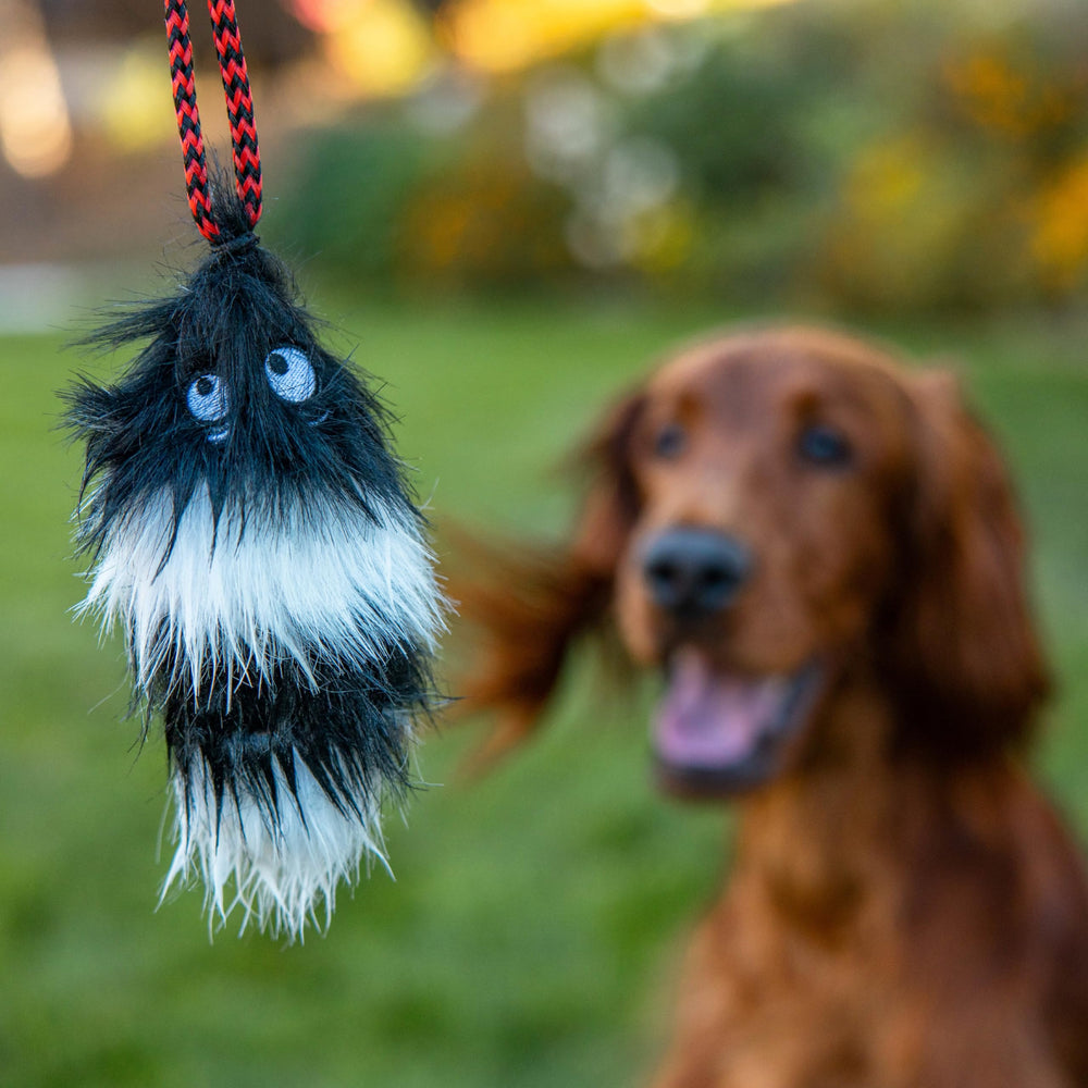 Tail Teaser de Outward Hound uso interior y exterior para diversión continua