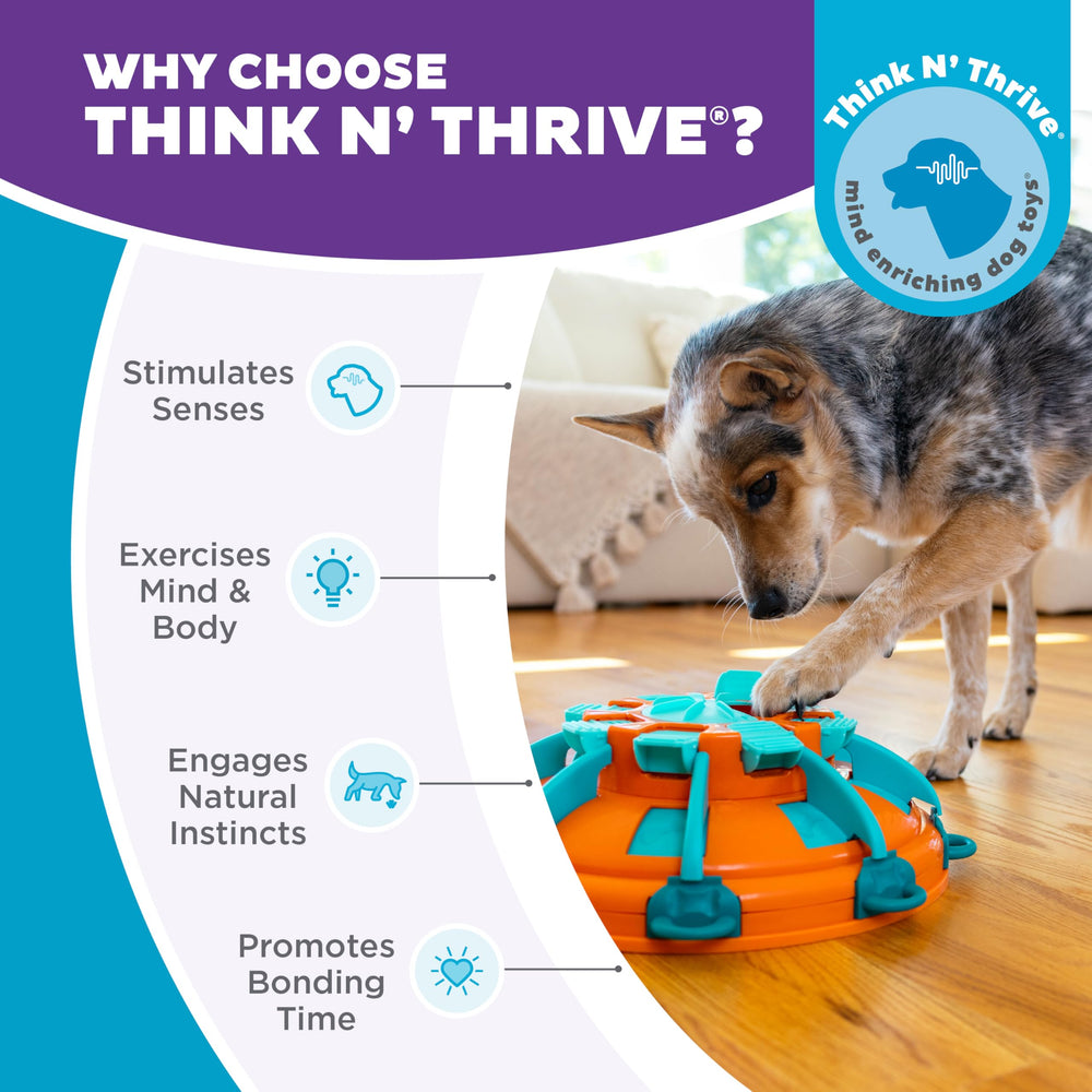 Torre de Premios Outward Hound: ideal para perros grandes y pequeños ocupados.