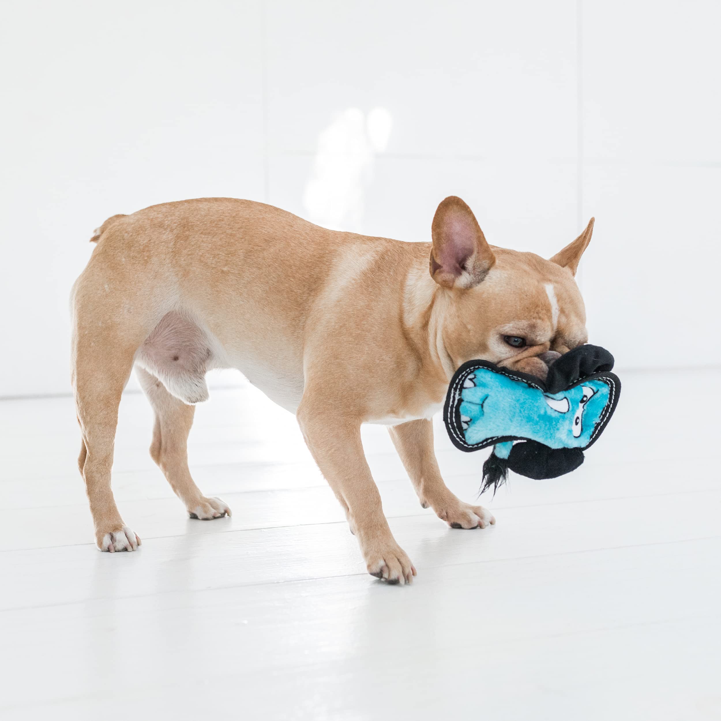 Outward Hound Tough Seamz León, ideal para juegos de búsqueda y tracción seguros