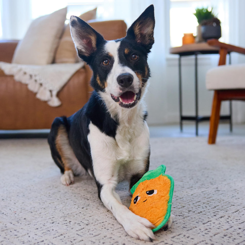 Outward Hound Tough Skinz prueba de durabilidad para masticadores persistentes