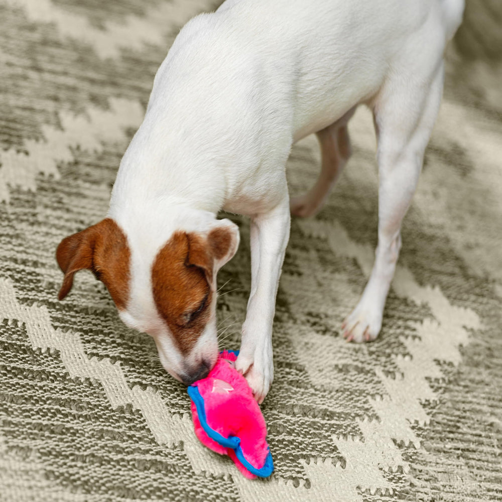 Durablez Mini de Outward Hound, ideal para cachorros y perros pequeños para morder y jugar