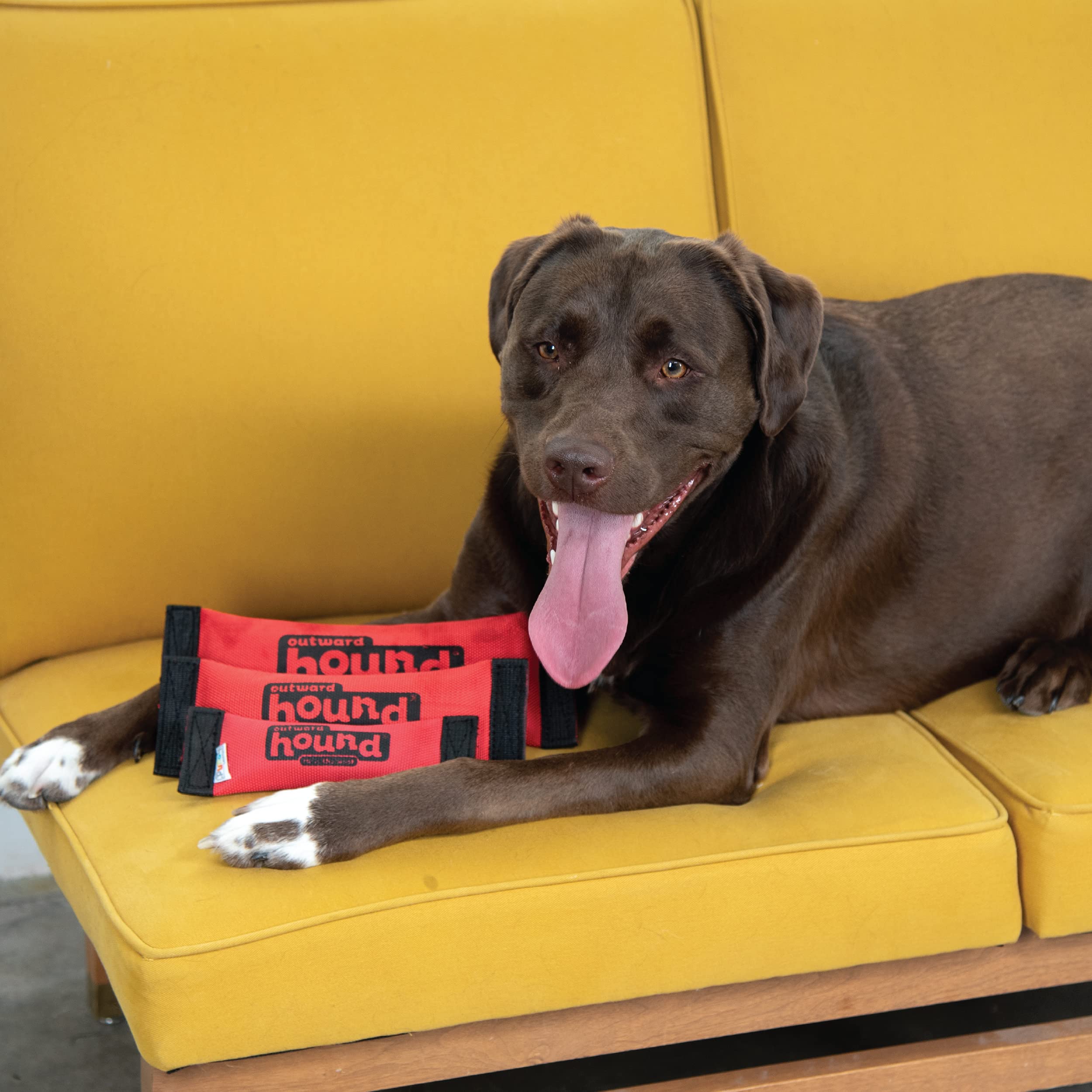 Outward Hound Firehose Fetch: seguro bajo supervisión, retira el juguete si se daña.