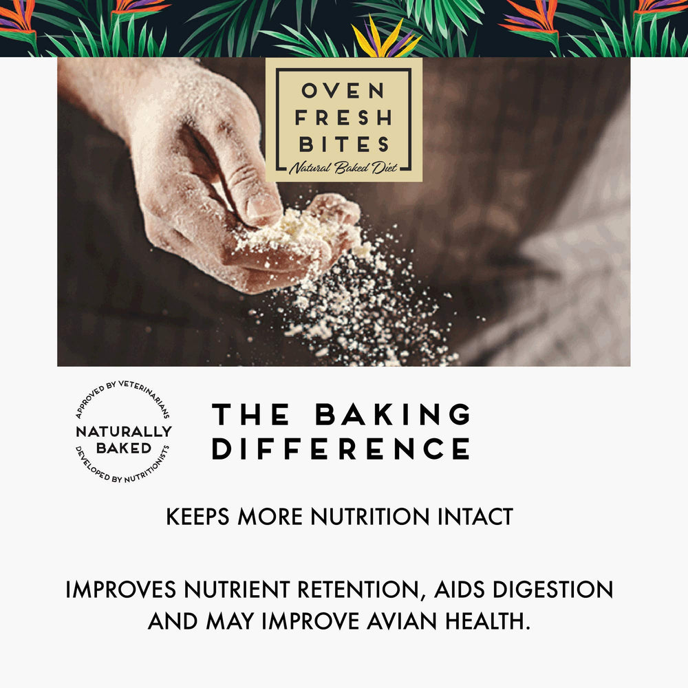 Oven Fresh Bites sabor-textura-loro para mantener interés en la alimentación.