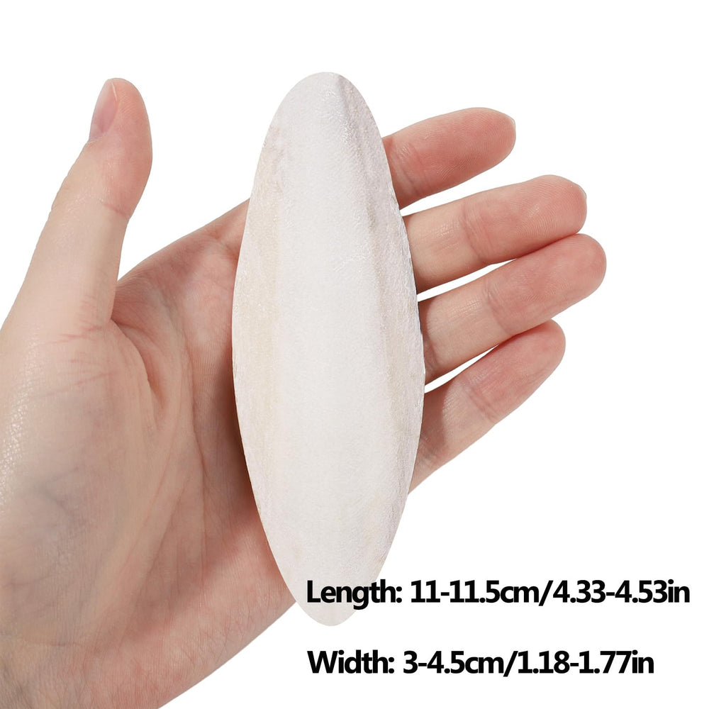 Seis piezas para uso diario, cada una entre 11 y 11,5 cm.