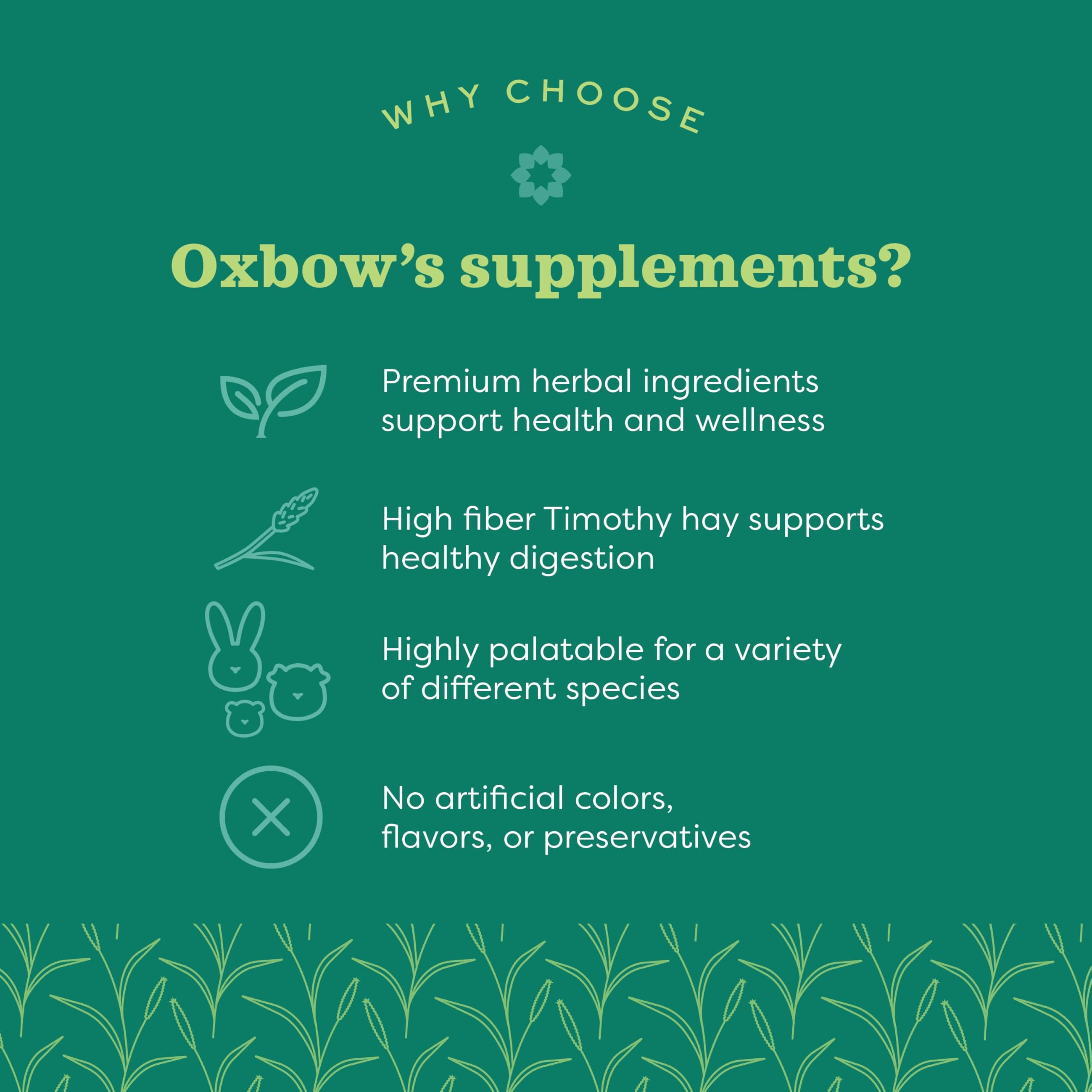 oxbow aprobado por veterinarios mini mascotas, respaldo confiable para dueños responsables.