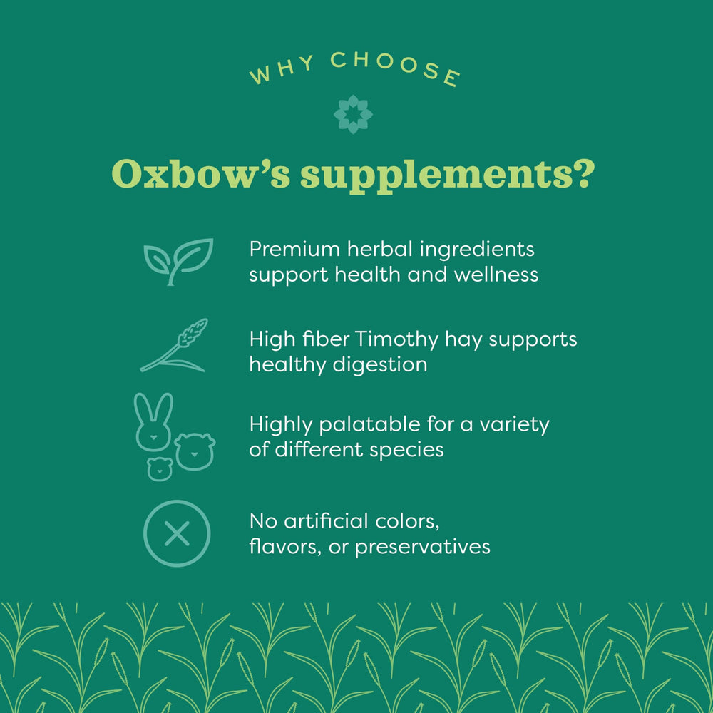 oxbow aprobado por veterinarios mini mascotas, respaldo confiable para dueños responsables.