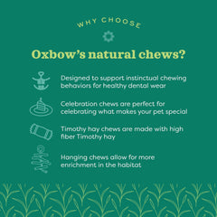 Oxbow Enriched Life Crazy Hay Ball, para hamsters, ofrece entretenimiento y salud dental.