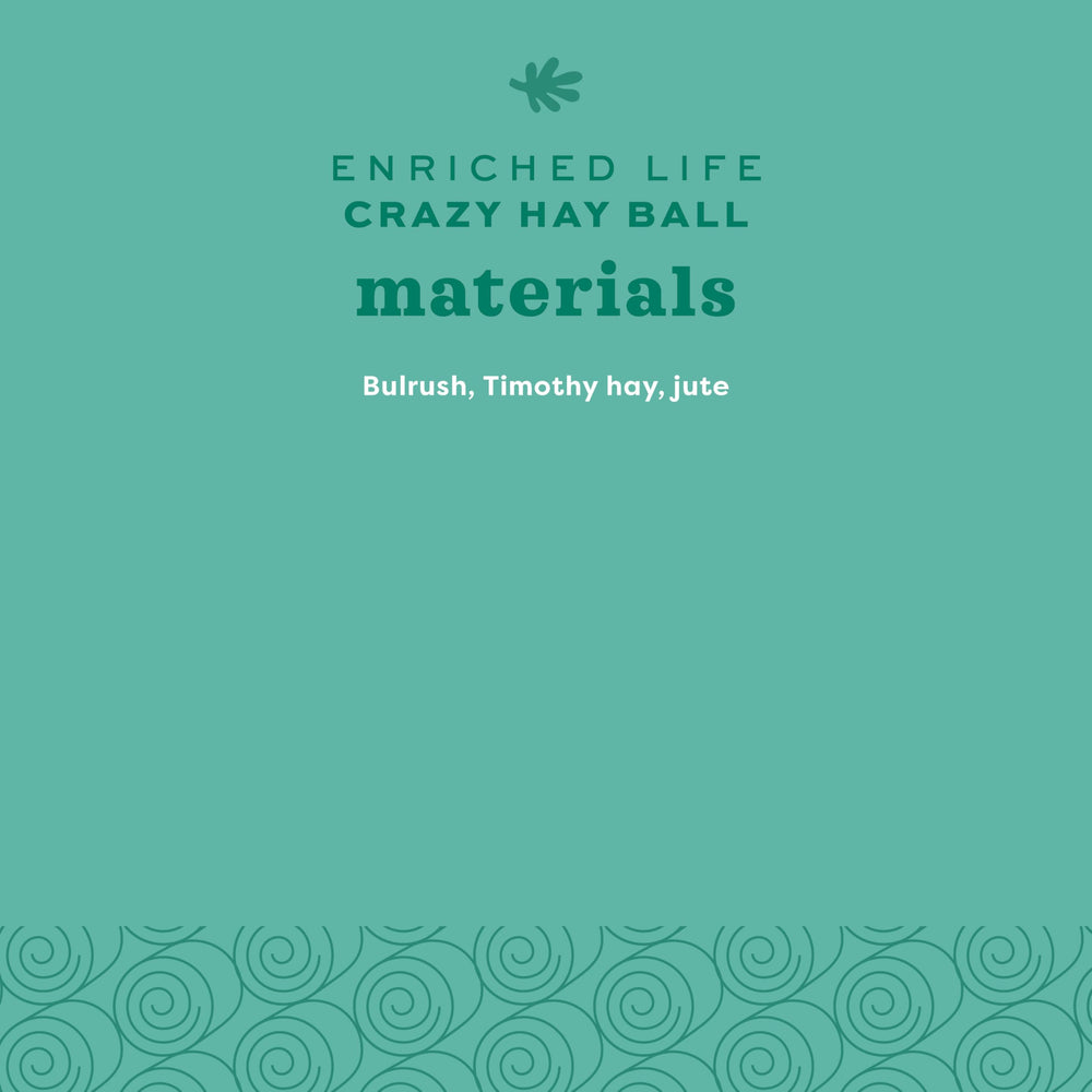 Oxbow Enriched Life Crazy Hay Ball, ideal para usar en jaula de mascotas pequeñas.