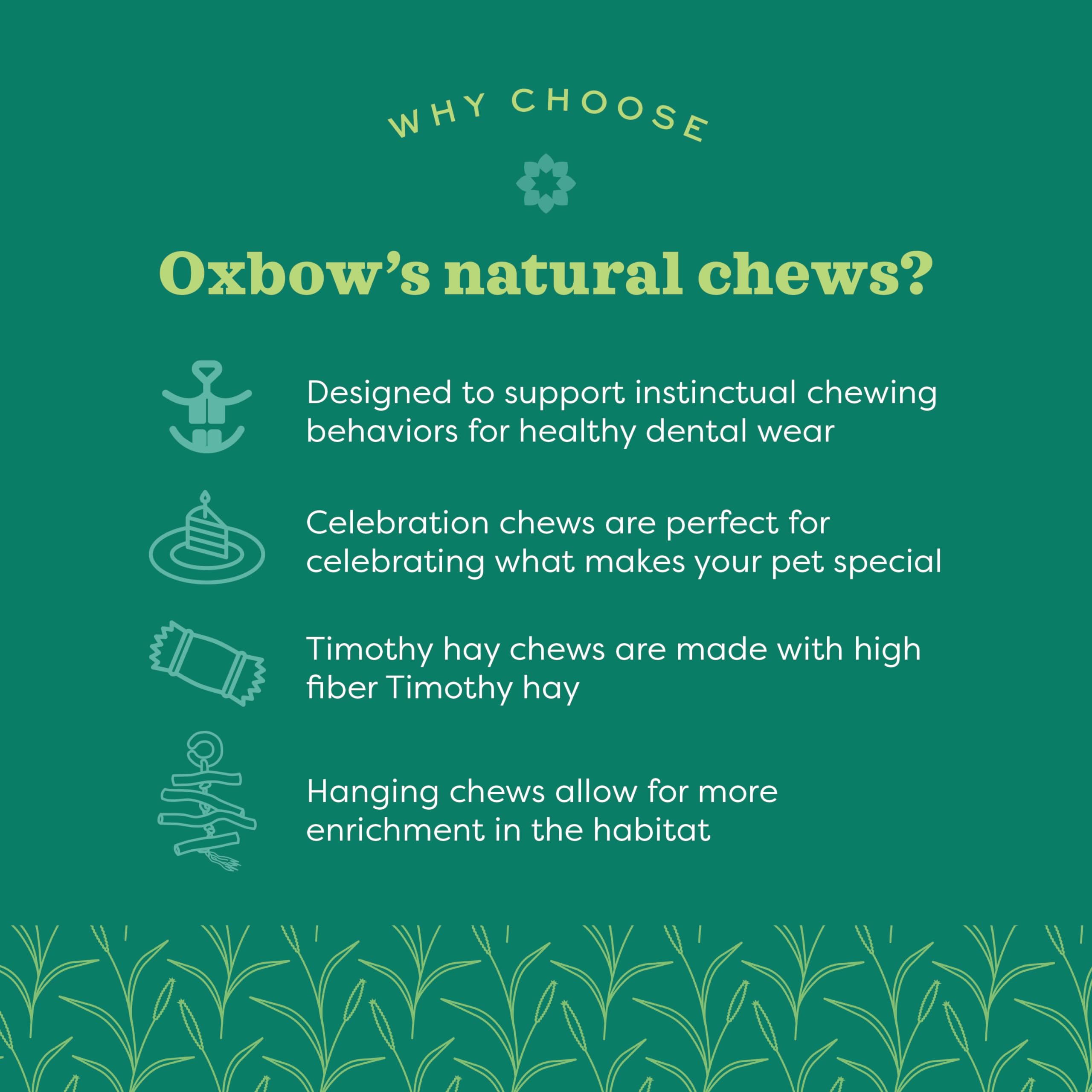 Oxbow Enriched Life Timothy Flowers, flor de heno, juego interactivo para mascotas pequeñas.