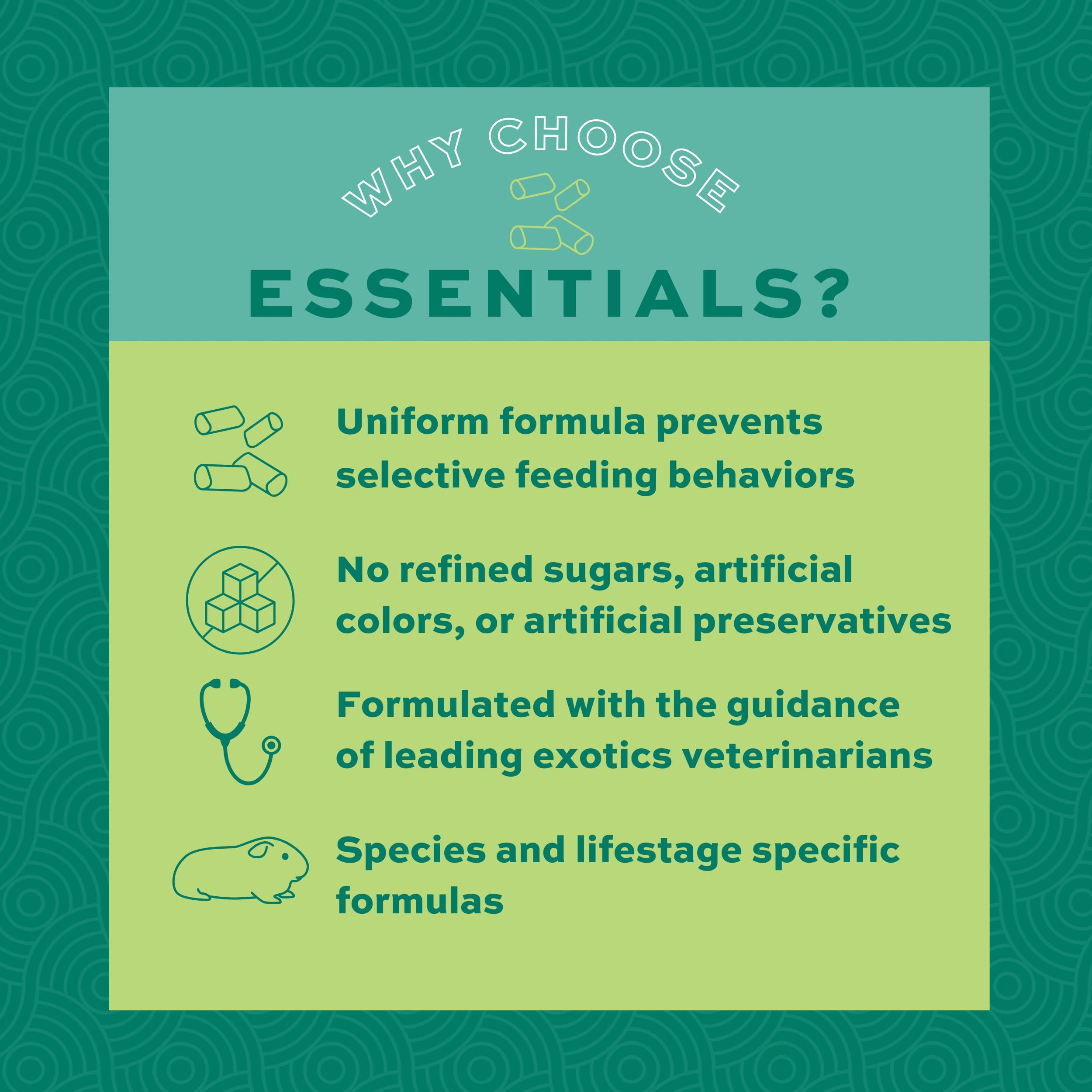 oxbow essentials: tazón de comida para conejillo de indias, facilita la alimentación diaria.