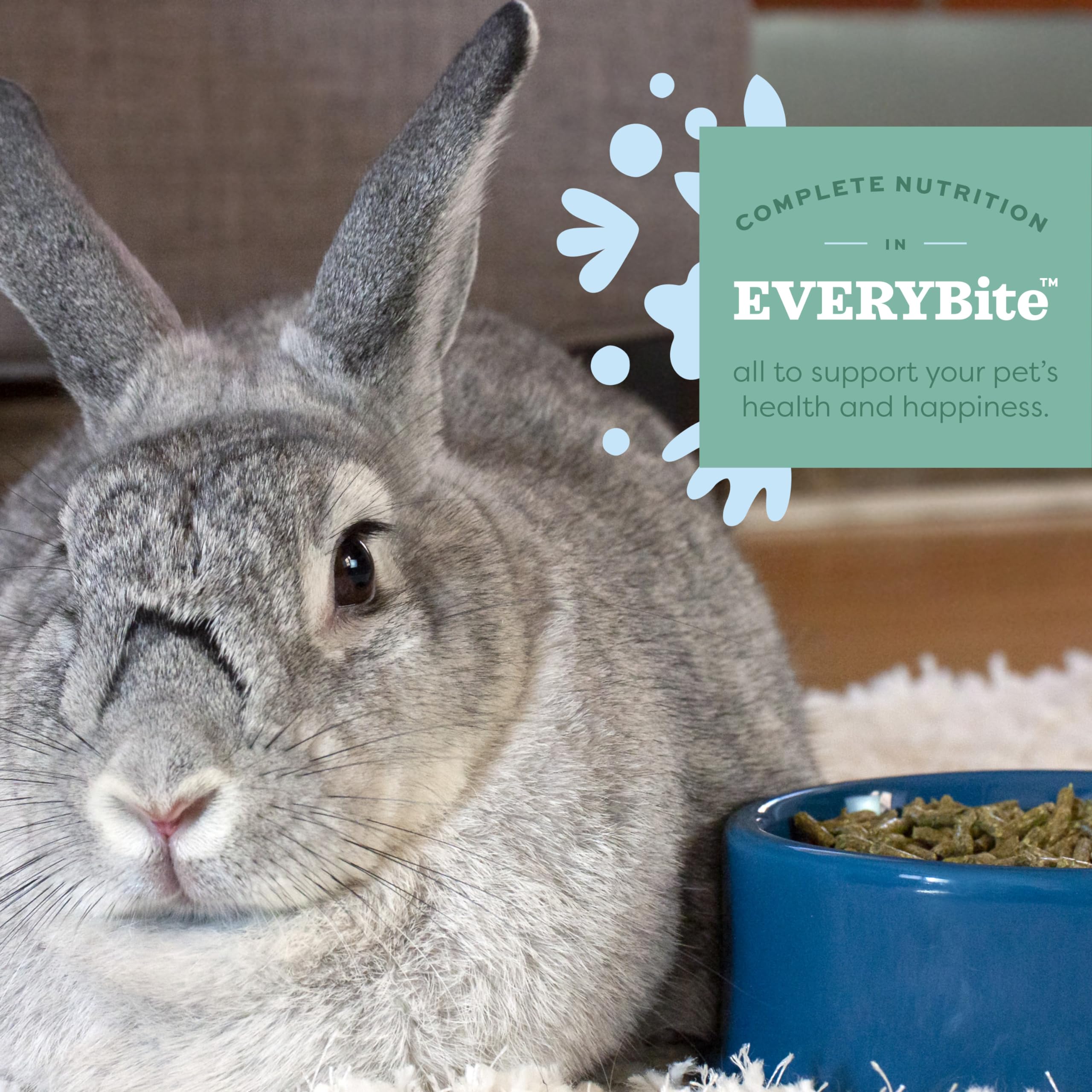 Oxbow Essentials recomendado por veterinarios para conejo joven.
