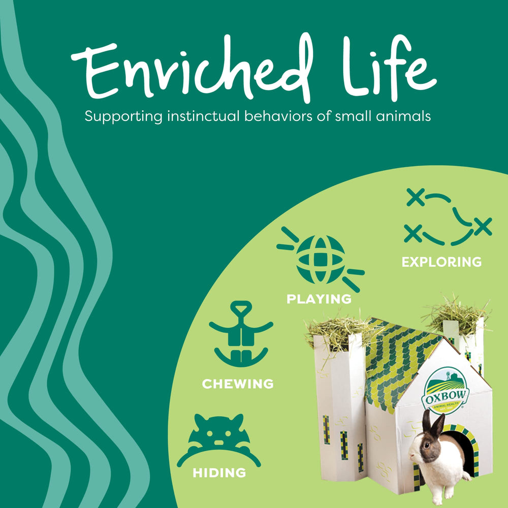 Oxbow Enriched Life Play Wall: estimula trepar, masticar y explorar
