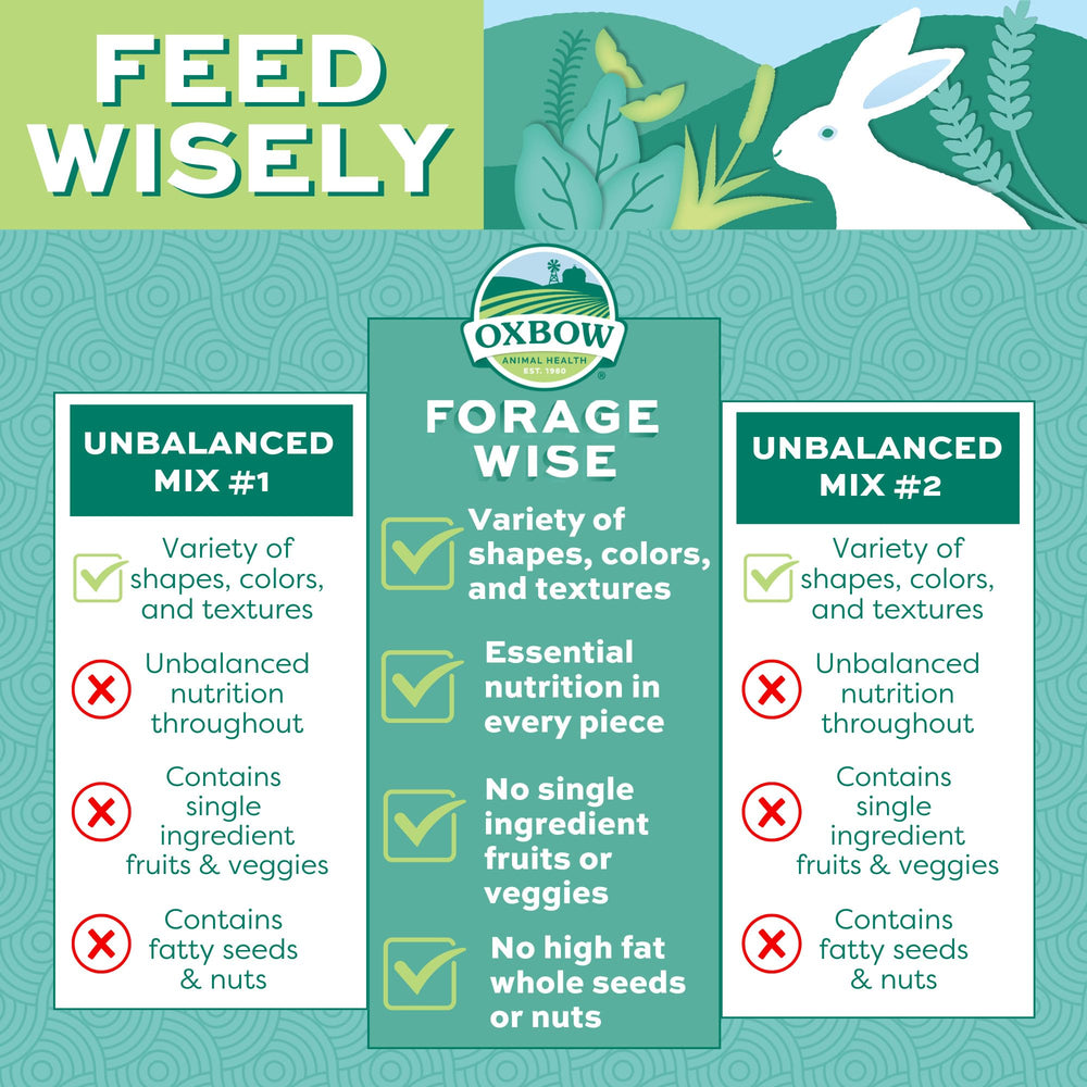 Oxbow Forage Wise: conejo masticando dientes para desgaste dental