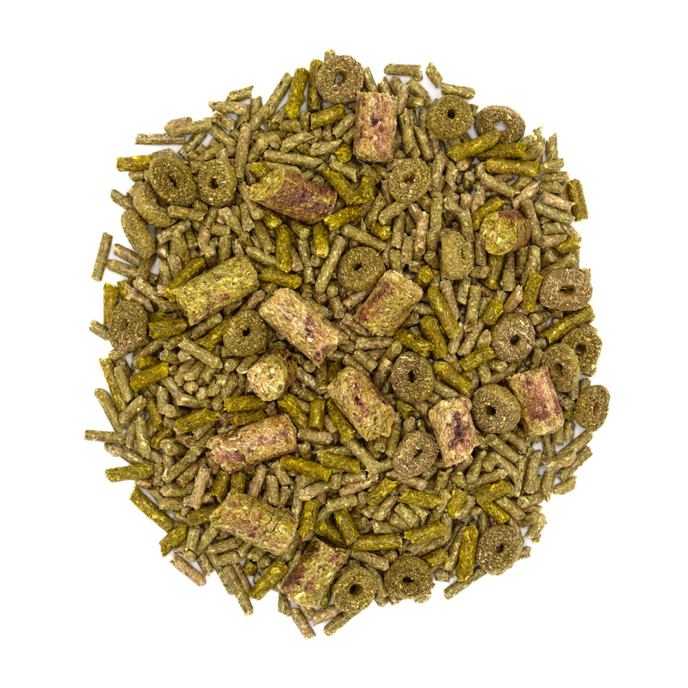 Oxbow Forage Wise: plato de alimento con variedad y nutrición