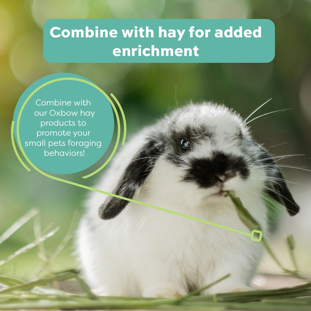 Oxbow Hay Toppers Meadow Blend chinchilla disfruta del enriquecimiento sensorial y fibra diaria