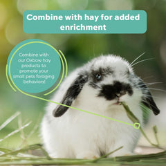 Oxbow Hay Toppers Meadow Blend chinchilla disfruta del enriquecimiento sensorial y fibra diaria