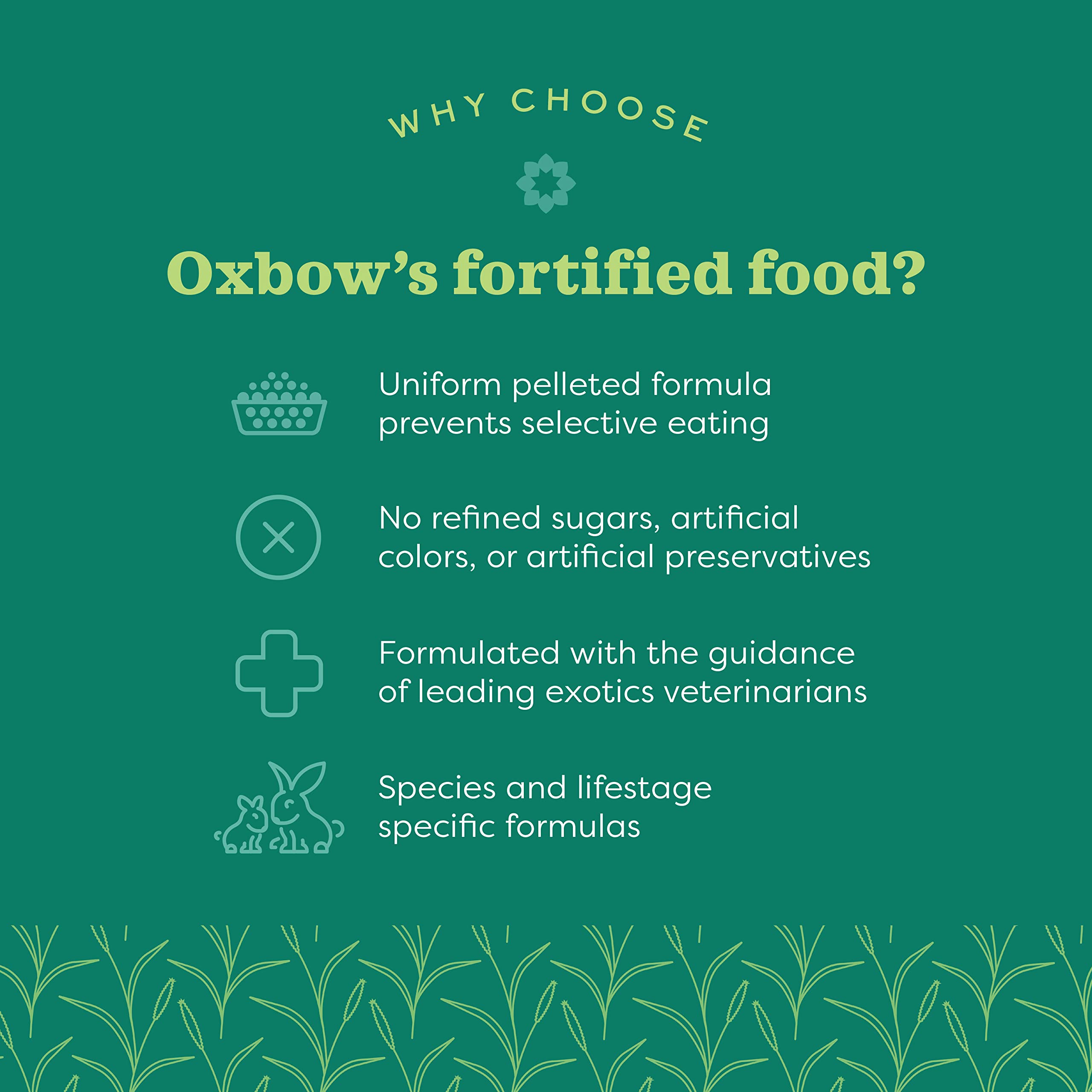 Oxbow Garden Select: heno de avena, textura que apoya la masticación y la salud dental.