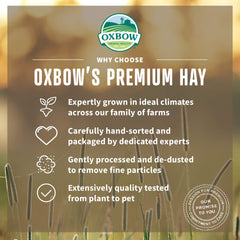 Oxbow Heno Meadow Orgánico ayuda a la salud dental y digestiva.