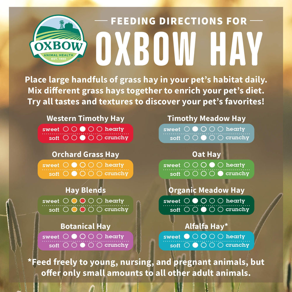 Oxbow Heno Meadow Orgánico cultivo familiar garantiza calidad en cada lote.