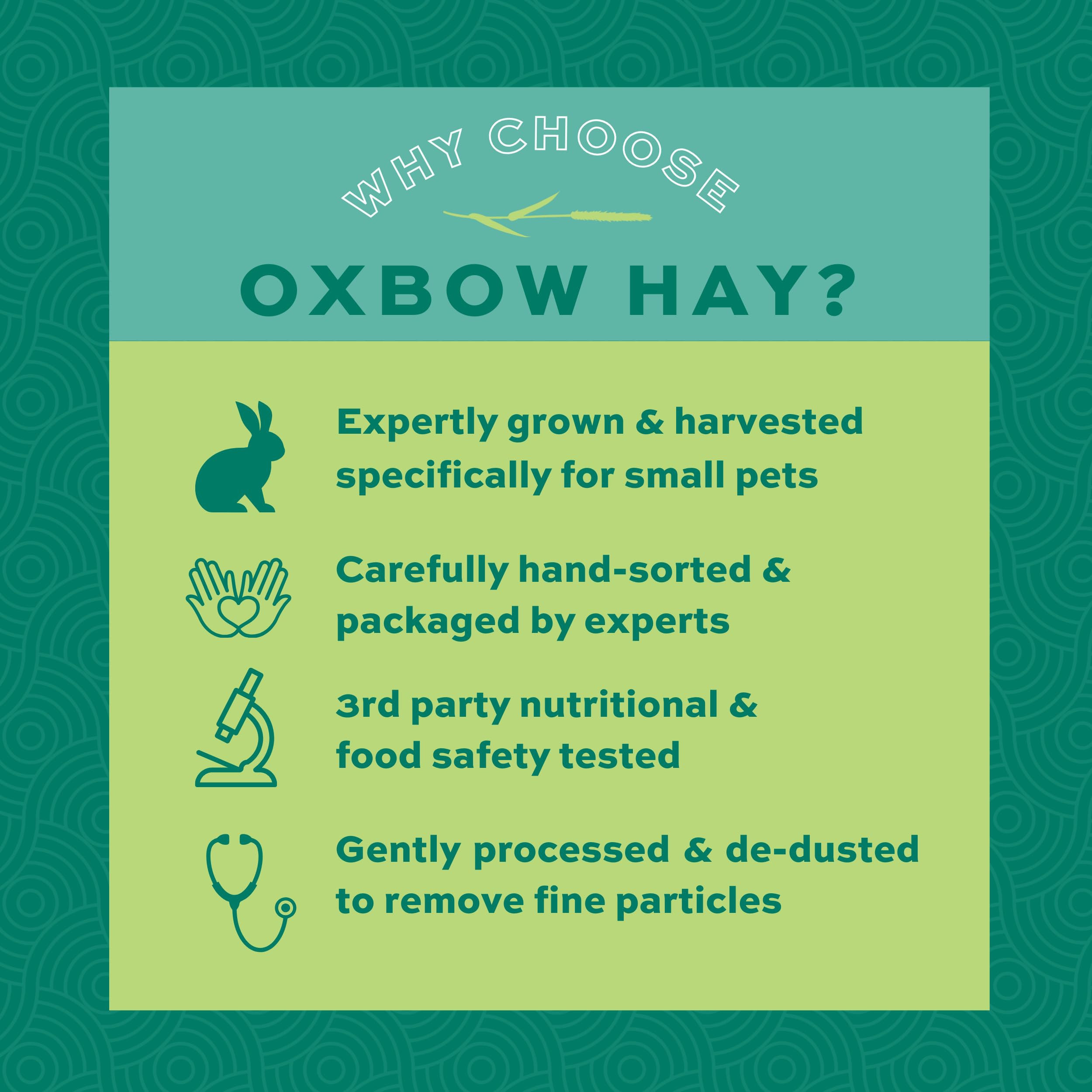 Oxbow heno recomendado por veterinarios: opción confiable para mascotas pequeñas.