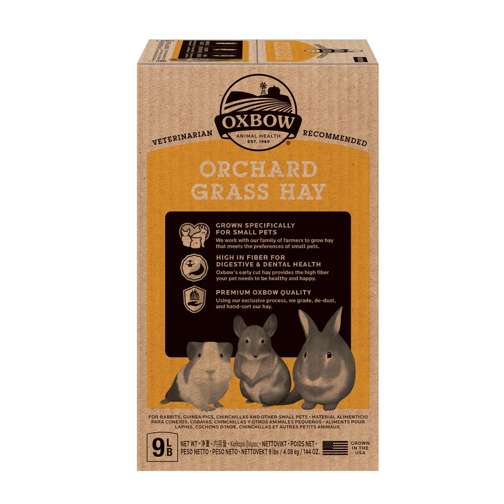 Oxbow heno con sabor dulce: fomenta la ingestión diaria en roedores.