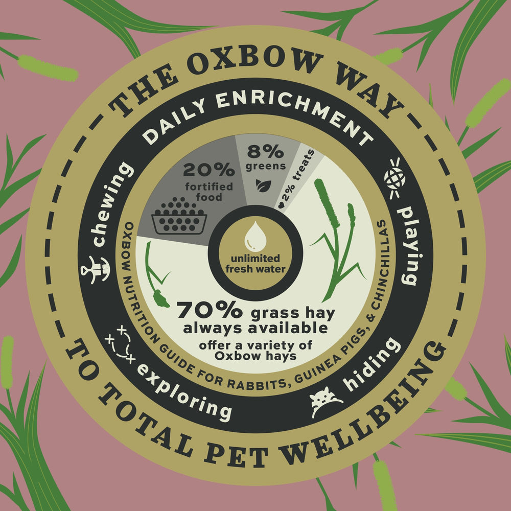 Oxbow Prime Cut heno timothy para conejos y cobayas con textura suave